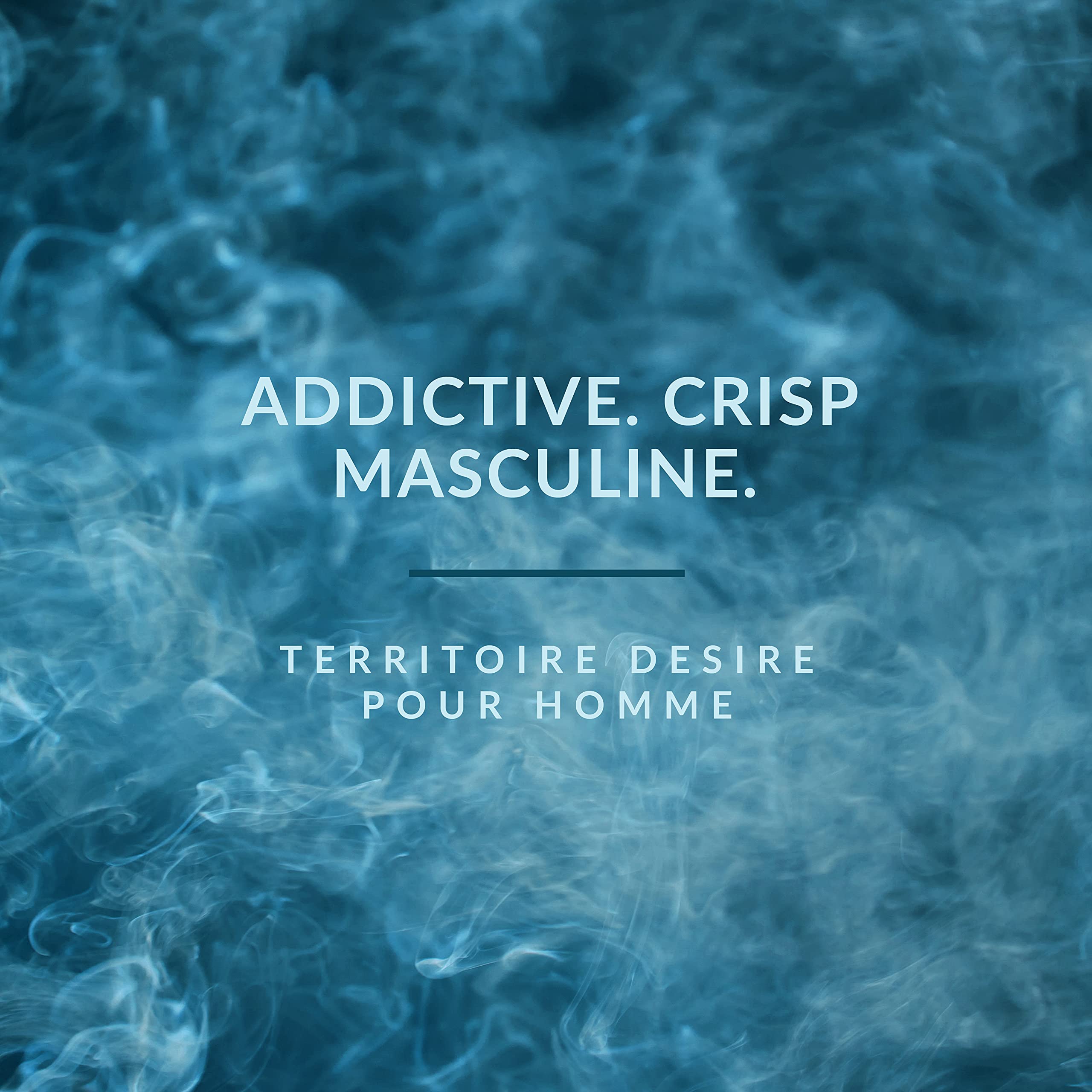 YZY Perfume Territoire Desire by YZY Perfume Eau De Parfum Spray 3.4 oz for Men