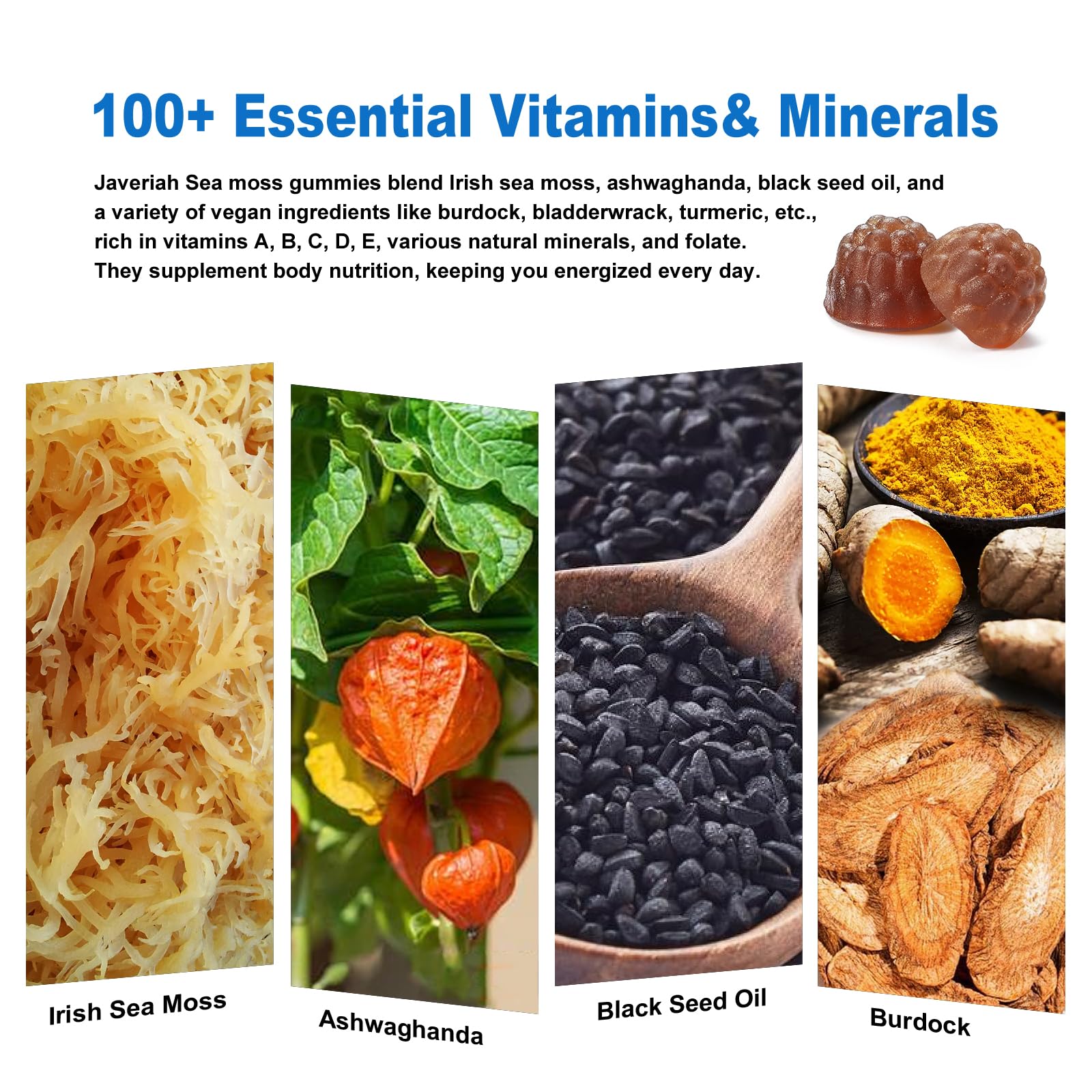 Vegan Sea Moss Gummies with Black Seed Oil,Ashwagandha, Vitamin C&D for Immune Support, Digestive, Antioxidant 13 in 1 Bundle, Sea Moss Chlorophyll Advanced Strength Formula 60 Gummies