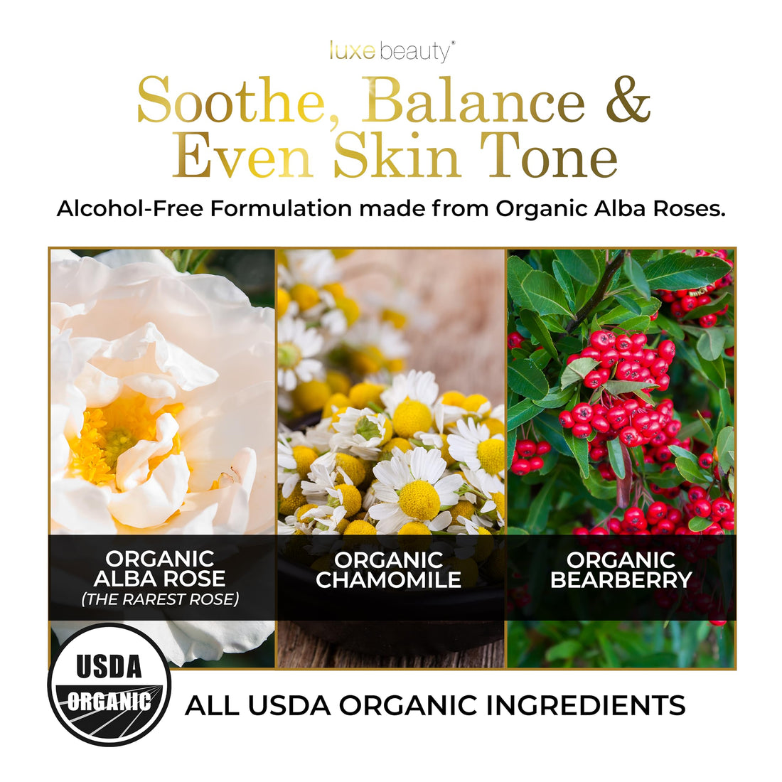 Luxe Beauty Organic Rose Quartz Toner