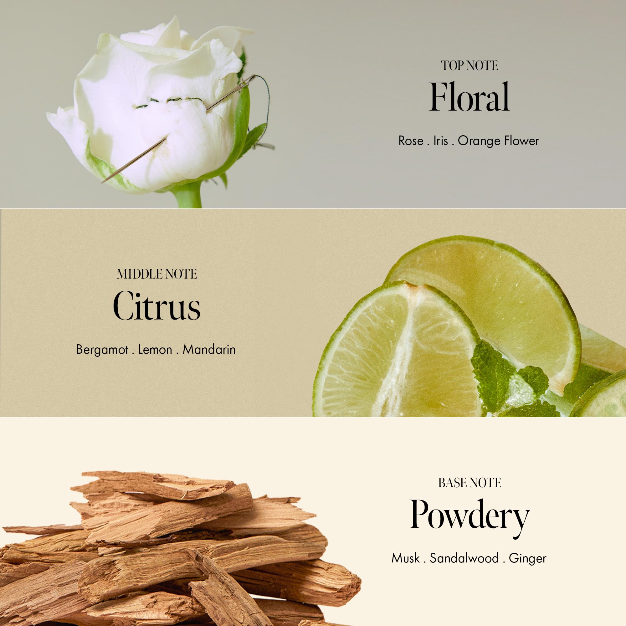 Rosy Night Repair Hair Ampoule Treatment – Water-to-Cream Formula for Damaged & Frizzy Hair – Protein, Peptide & Amino Acid – Color Safe, Sulfate & Paraben Free, Musky Floral Scent, 6.76 fl. oz