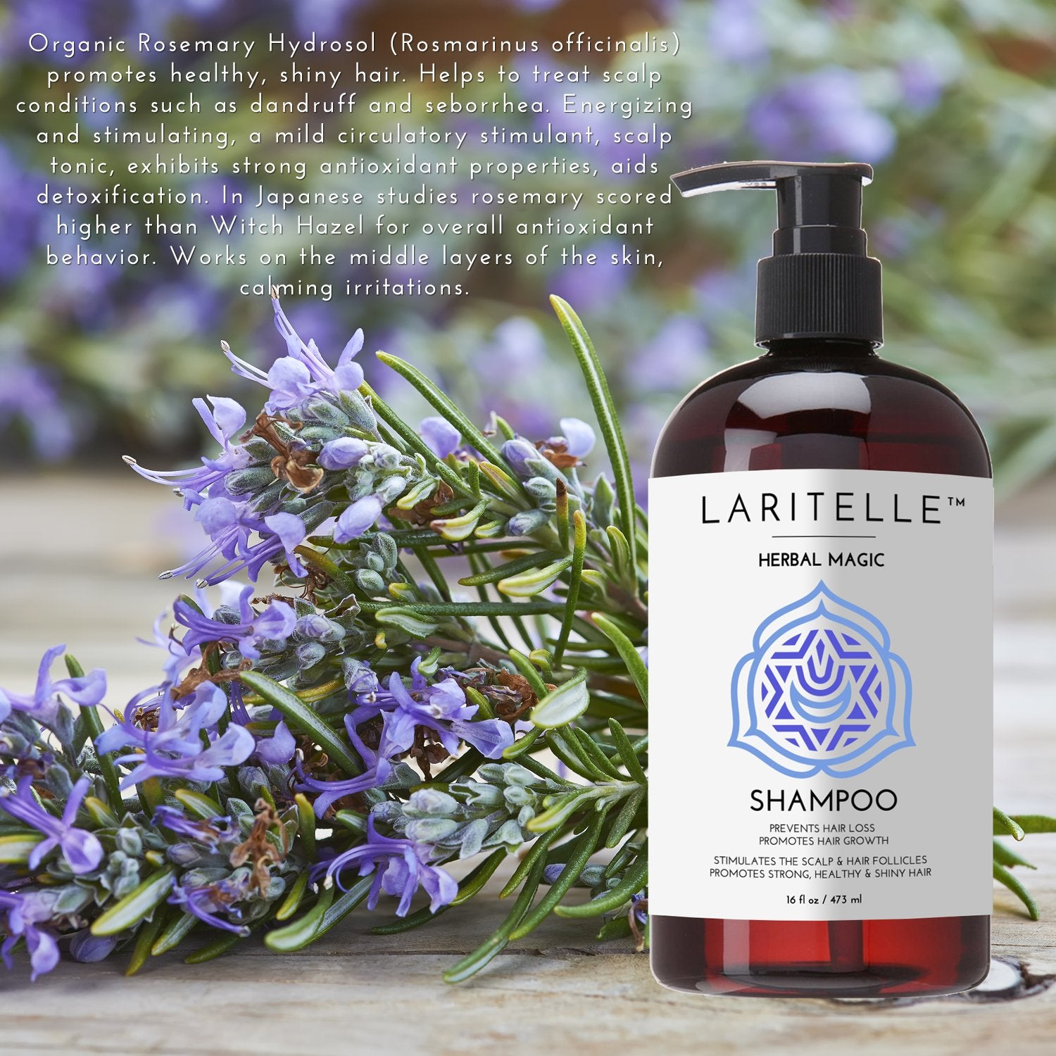 Laritelle Organic Unscented Hypoallergenic Shampoo 17.5 oz. Rosemary & Saw Palmetto. NO SLS/GMO/Parabens. GF