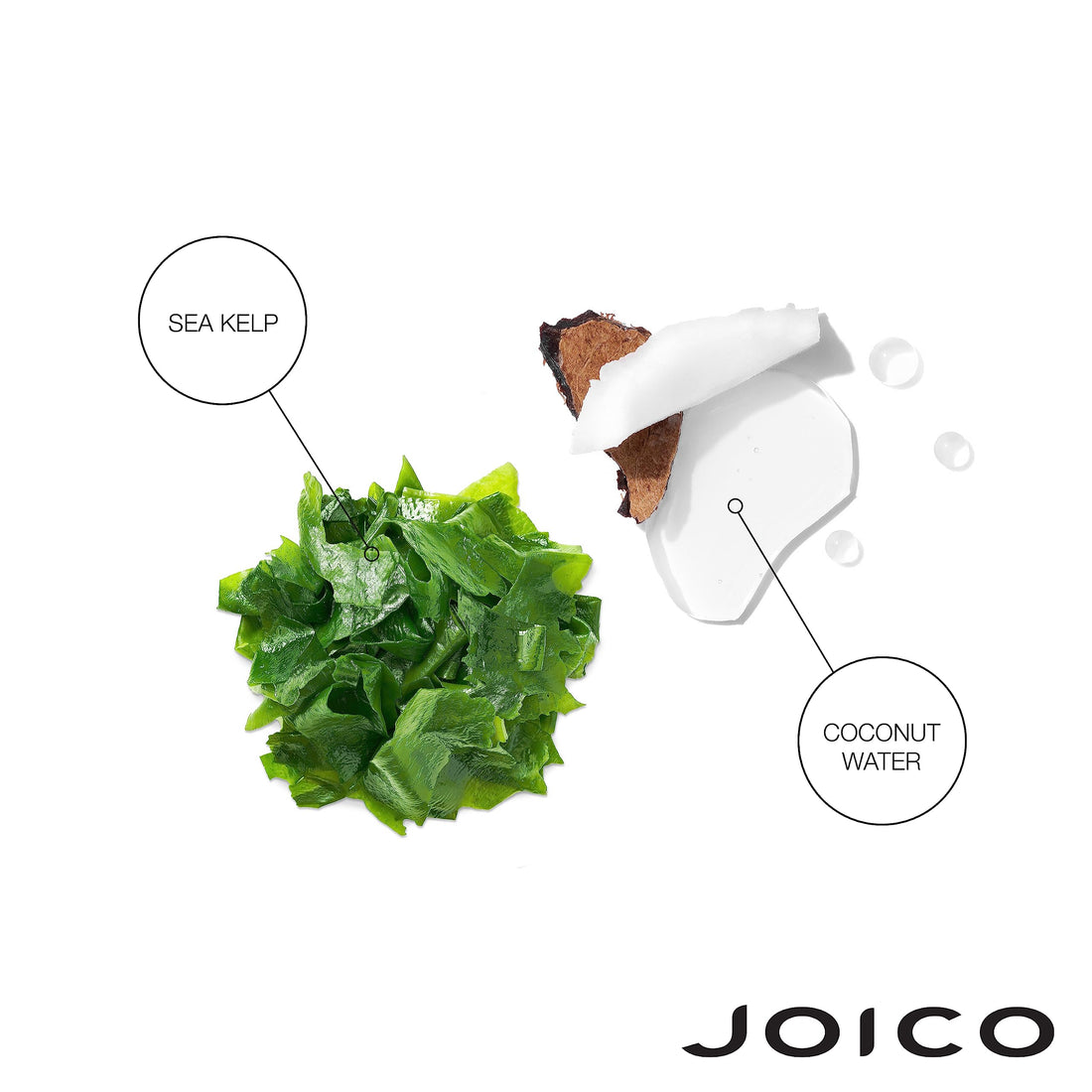 Joico HydraSplash Hydrating Conditioner | For Fine, Medium, Dry Hair | Replenish Moisture | Add Hydration & Softness | With Sea Kelp & Coconut Water | 8.5 Fl Oz