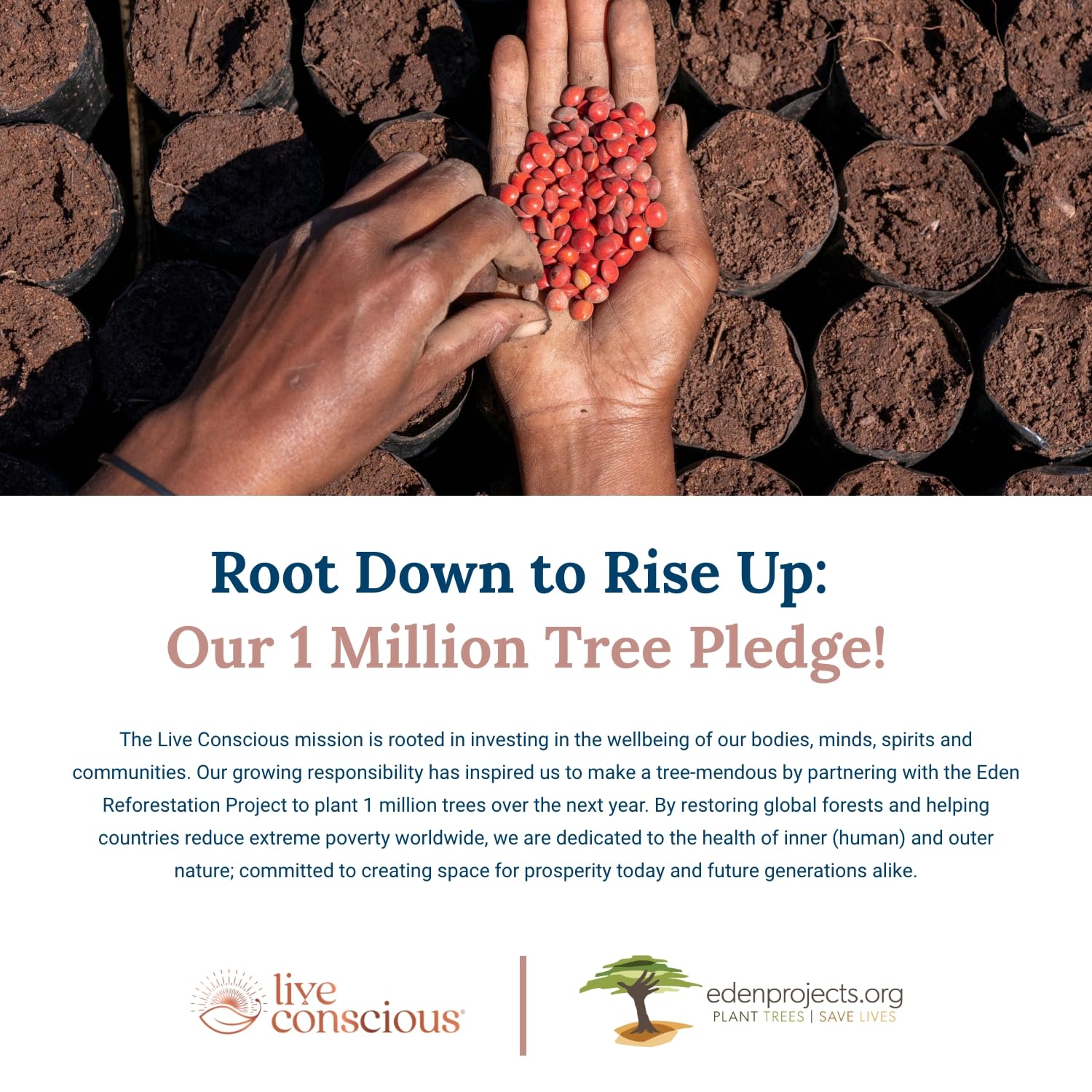 Live Conscious OmegaWell Fish Oil: Heart, Brain, and Joint Support | 800 mg EPA 600 mg DHA - Enteric-Coated, Sustainably Sourced - Easy to Swallow 120 Count (2-Pack)