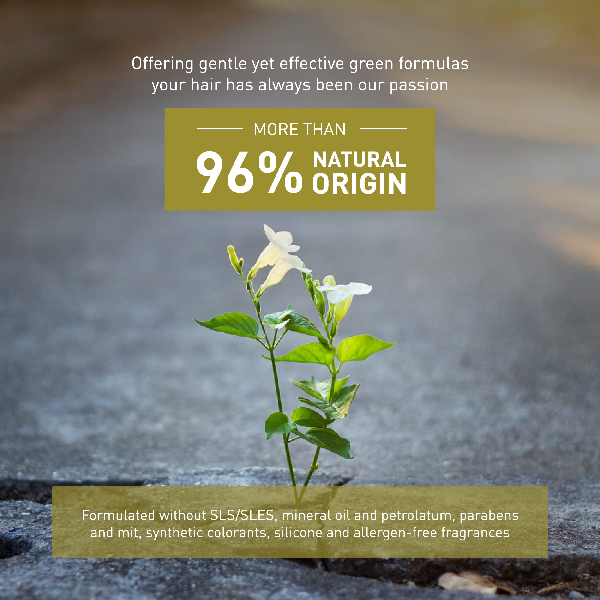 Insight Clean Beauty Anti Frizz Conditioner, Hydrating, Organic Linseed Extract, Vegan, 13.5 fl oz