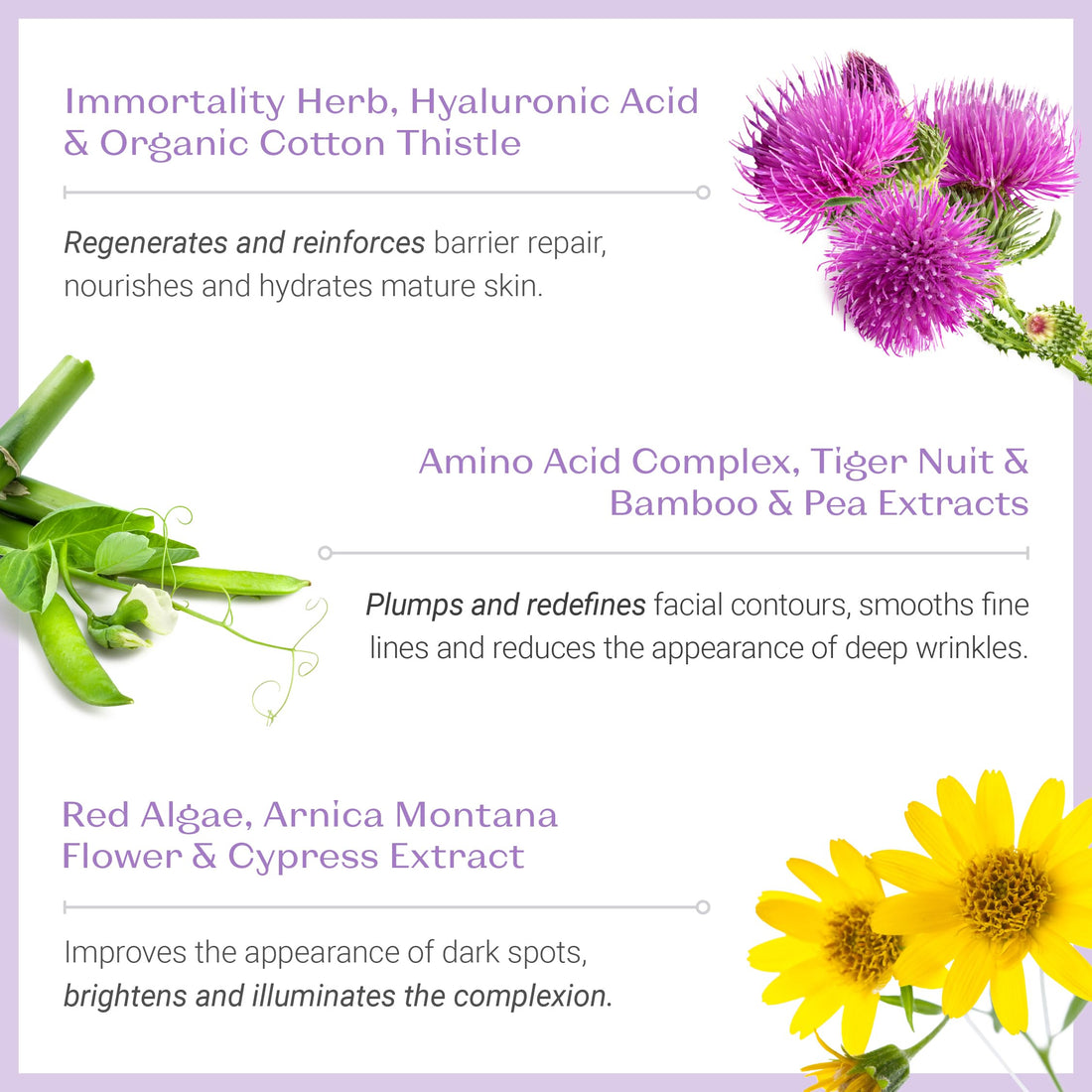 Yonka Excellence Code Creme, 50 Gram