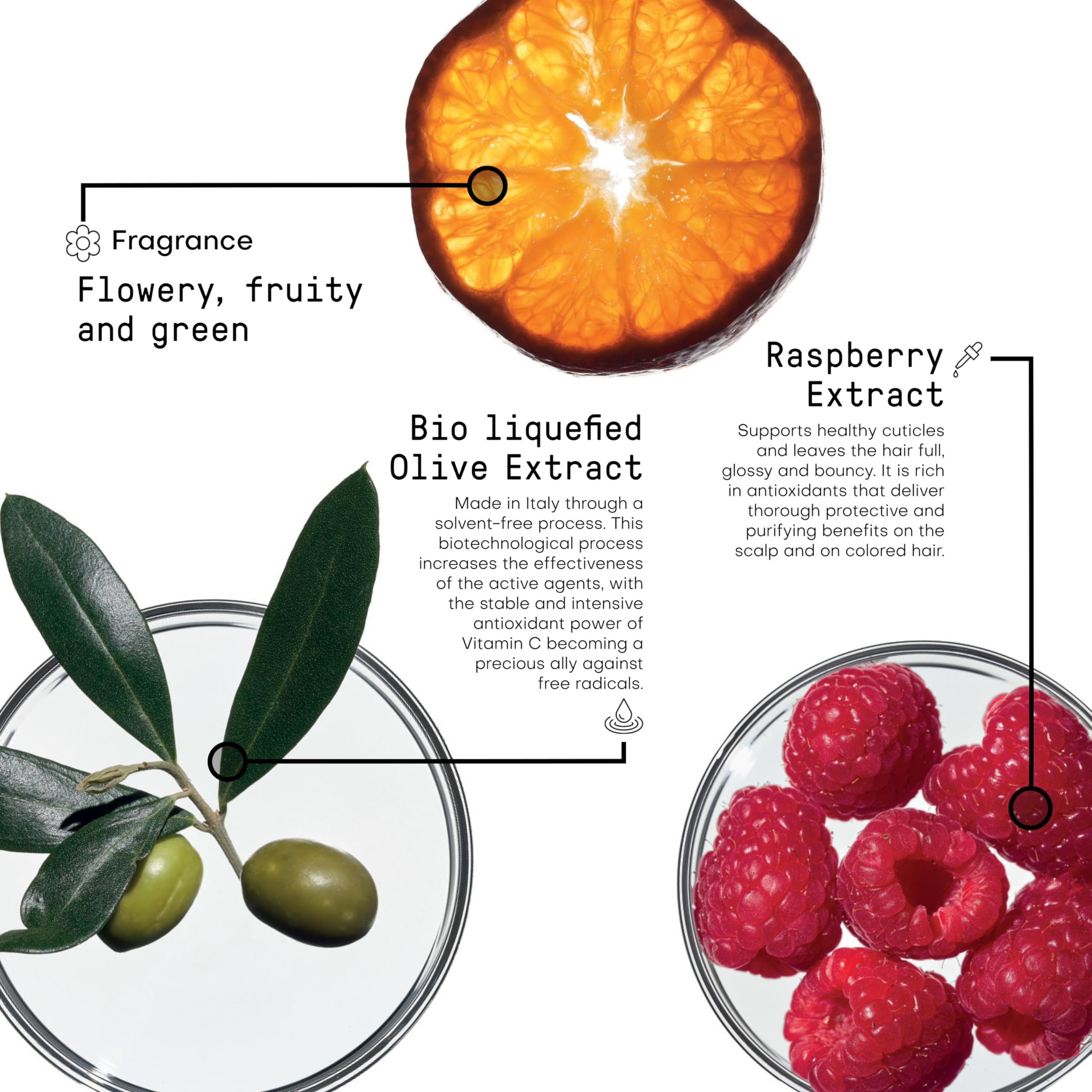 FRAMESI Morphosis Color Protect Shampoo 8.4 fl oz