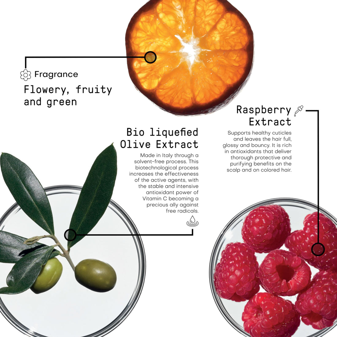 FRAMESI Morphosis Color Protect Conditioner 8.4 fl oz