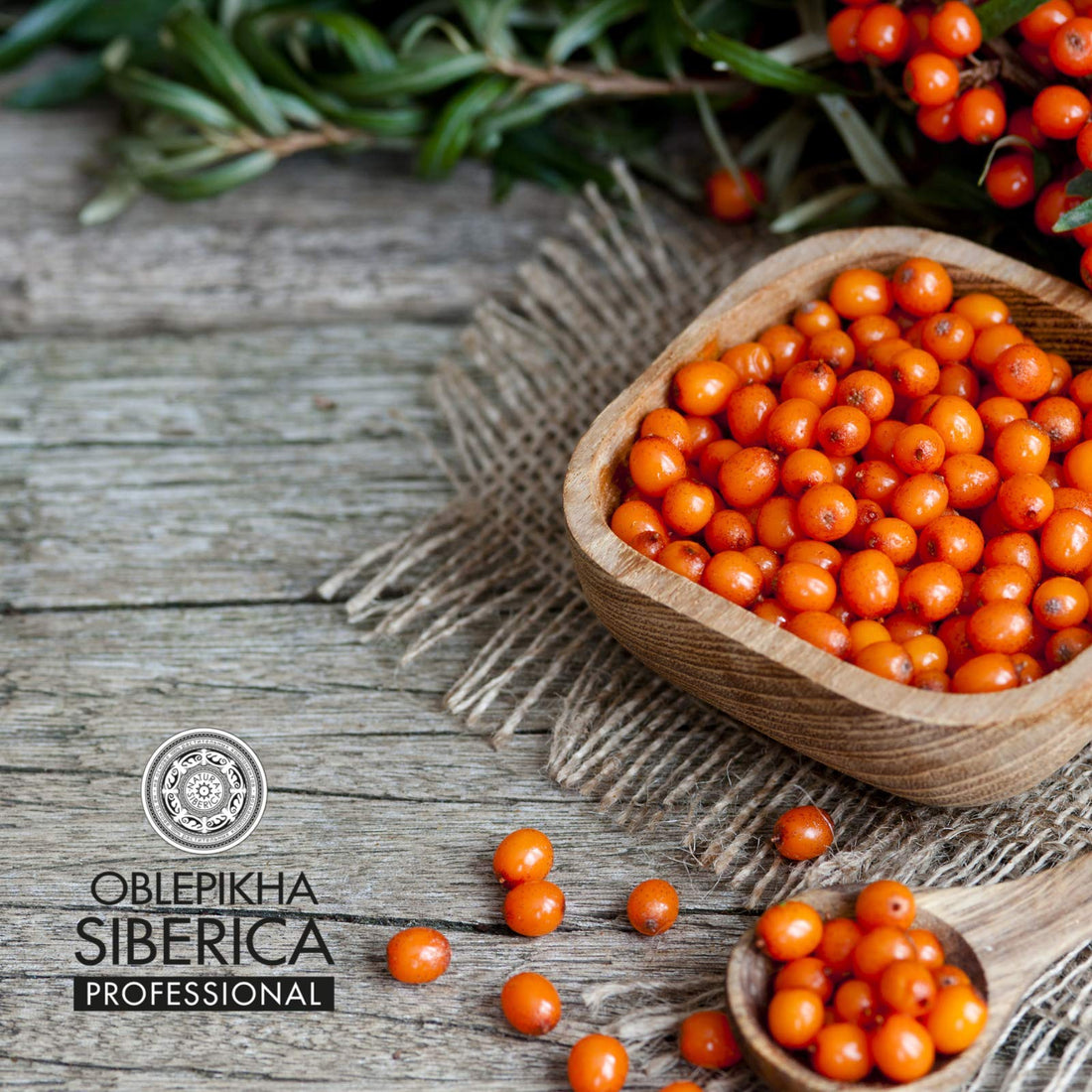 Natura Siberica Oblepikha Body Butter 300ml Nourishing and Moisturizing Altai Sea Buckthorn Oil