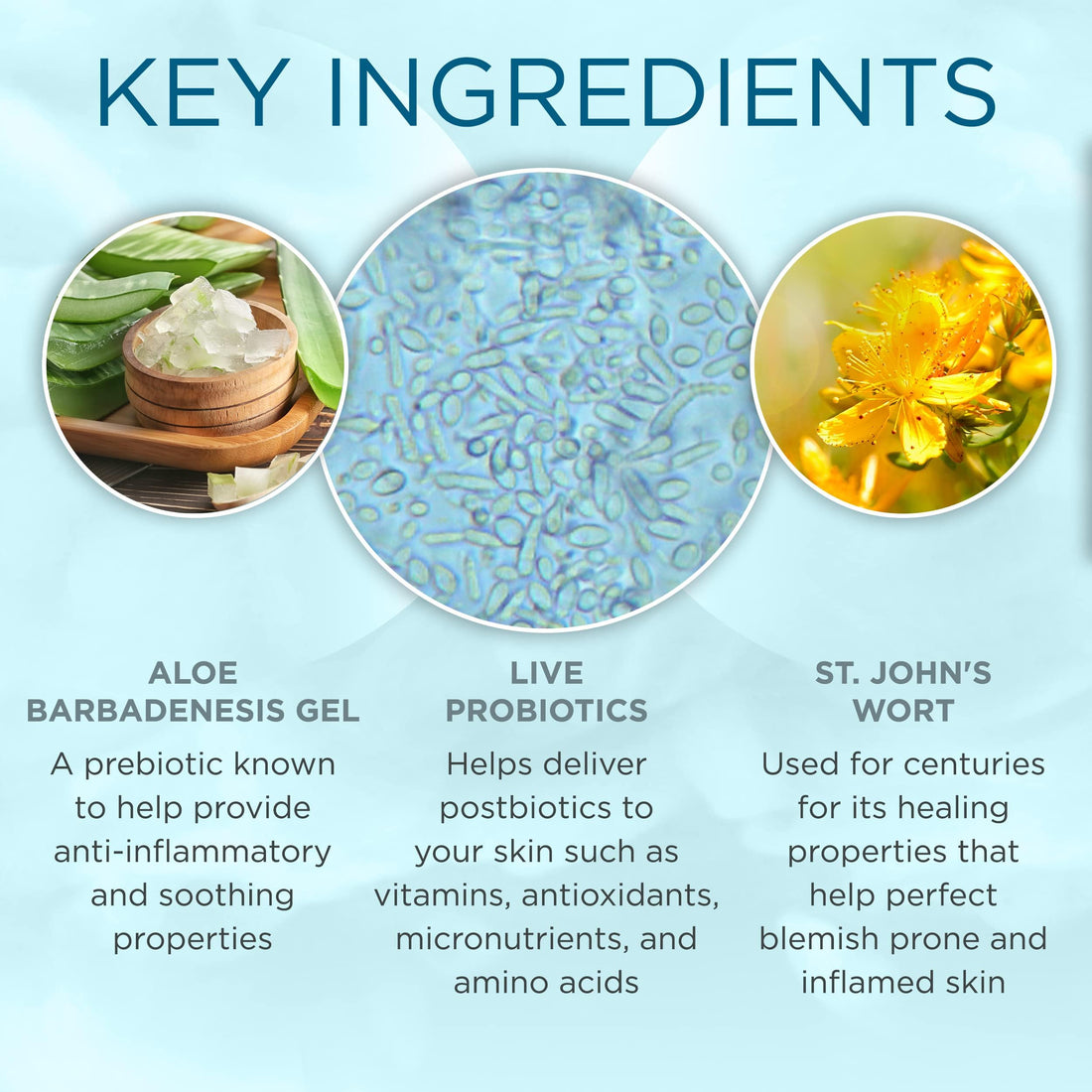 LaFlore Probiotic Daily Defense Moisturizer