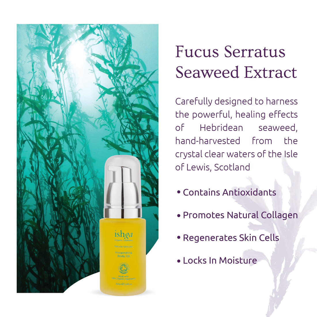 ishga Invigorating Body Oil | Natural & Organic Skincare | Scottish Seaweed | Jojoba, Sweet Almond, Essential Oils | Vegan, Cruelty-Free | 1.01fl oz (30ml)