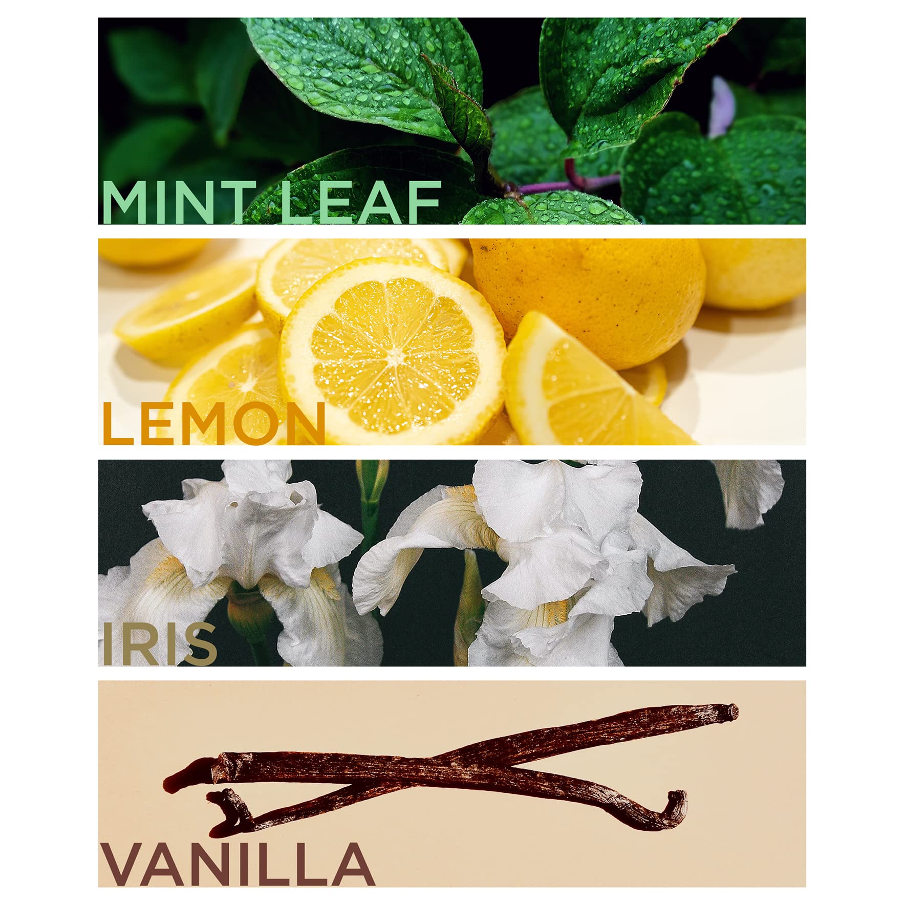 English Laundry Oxford Bleu Eau de Parfum