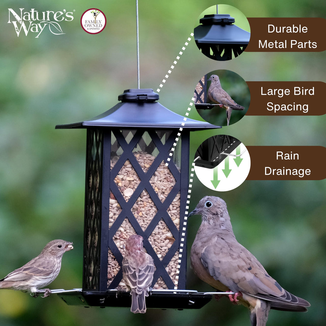 Nature's Way Outdoor Garden Décor Hanging Wild Bird Seed Feeder, Metal Lantern Gazebo Feeder, Easy Fill, Rain Drainage, Black