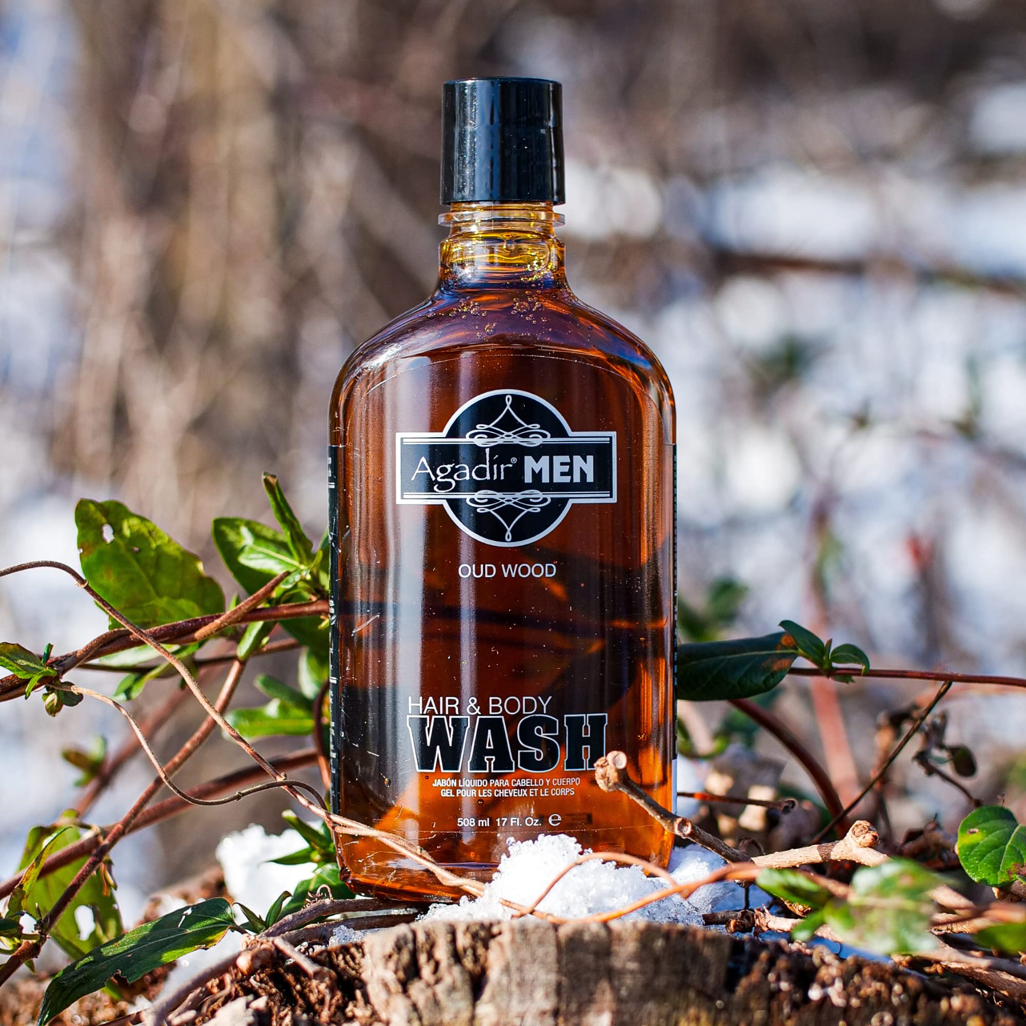 Agadir Men Hair And Body Wash, 17 Ounce