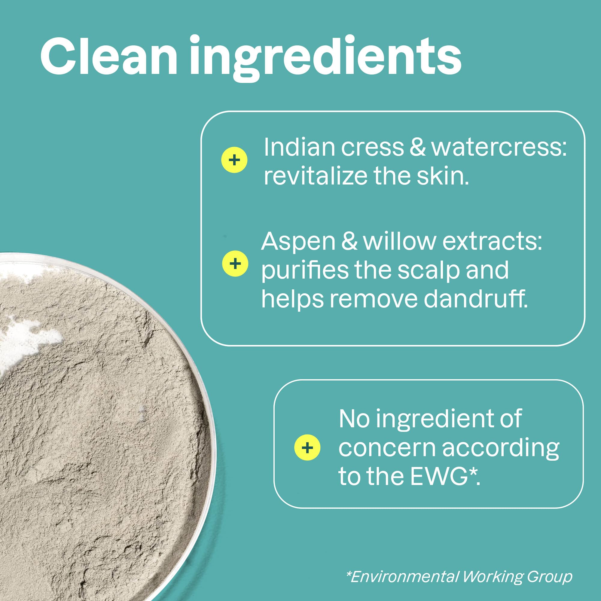 Attitude Natural Shampoo & Body Wash 2-in-1 - Scalp Care Men, Black Willow & Aspen, 16 Fluid Ounce