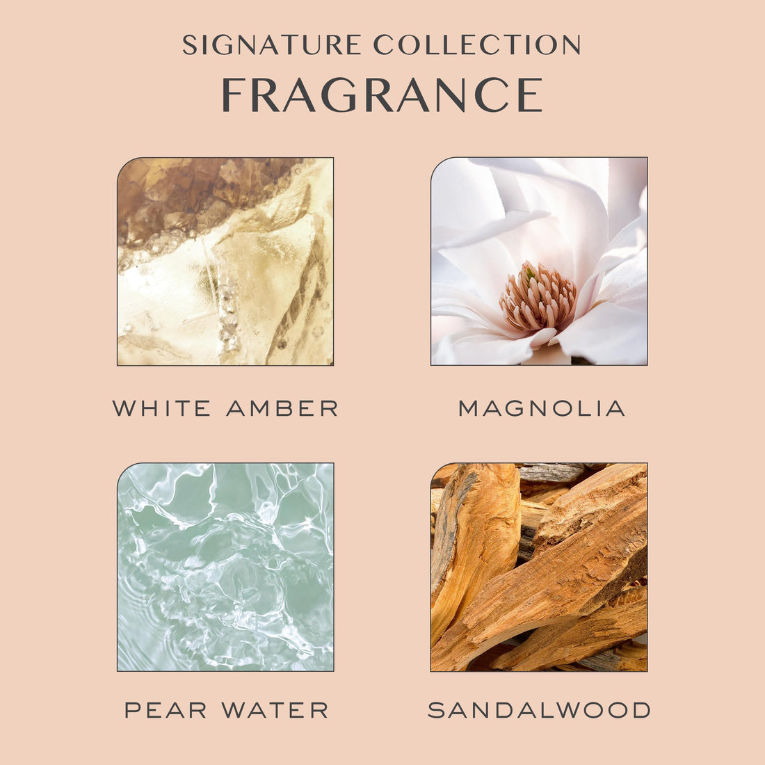 Kristin Ess Extra Gentle Conditioner, 10 fl. oz.