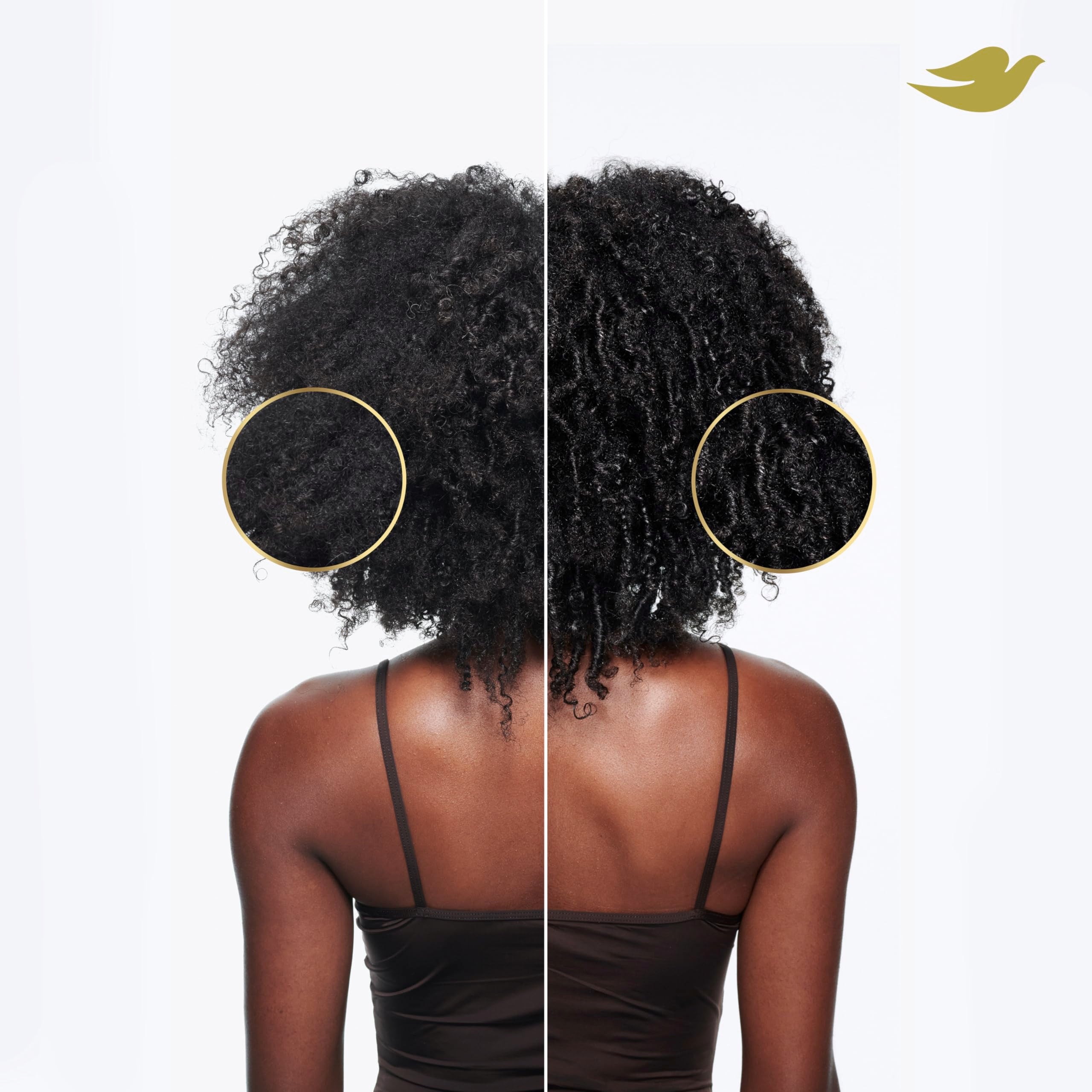 Dove Shampoo, Conditioner, Curl Cream & Mask for Curly, Coily Hair Amino Curl Regimen Pack with Bio-Protein Care Technology + Amino & Jojoba Oil 4 Pk