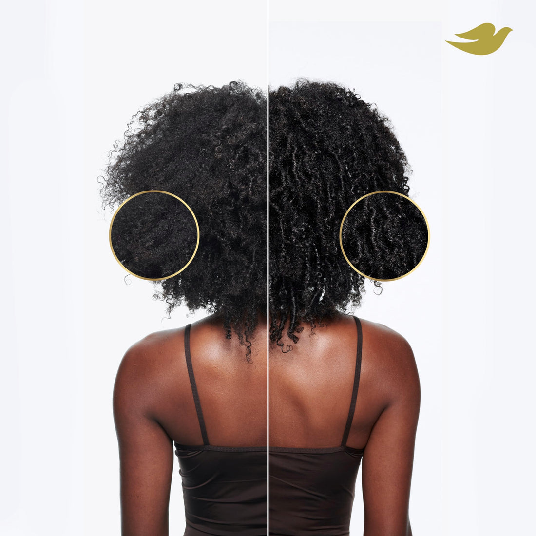 Dove Shampoo, Conditioner, Curl Cream & Mask for Curly, Coily Hair Amino Curl Regimen Pack with Bio-Protein Care Technology + Amino & Jojoba Oil 4 Pk