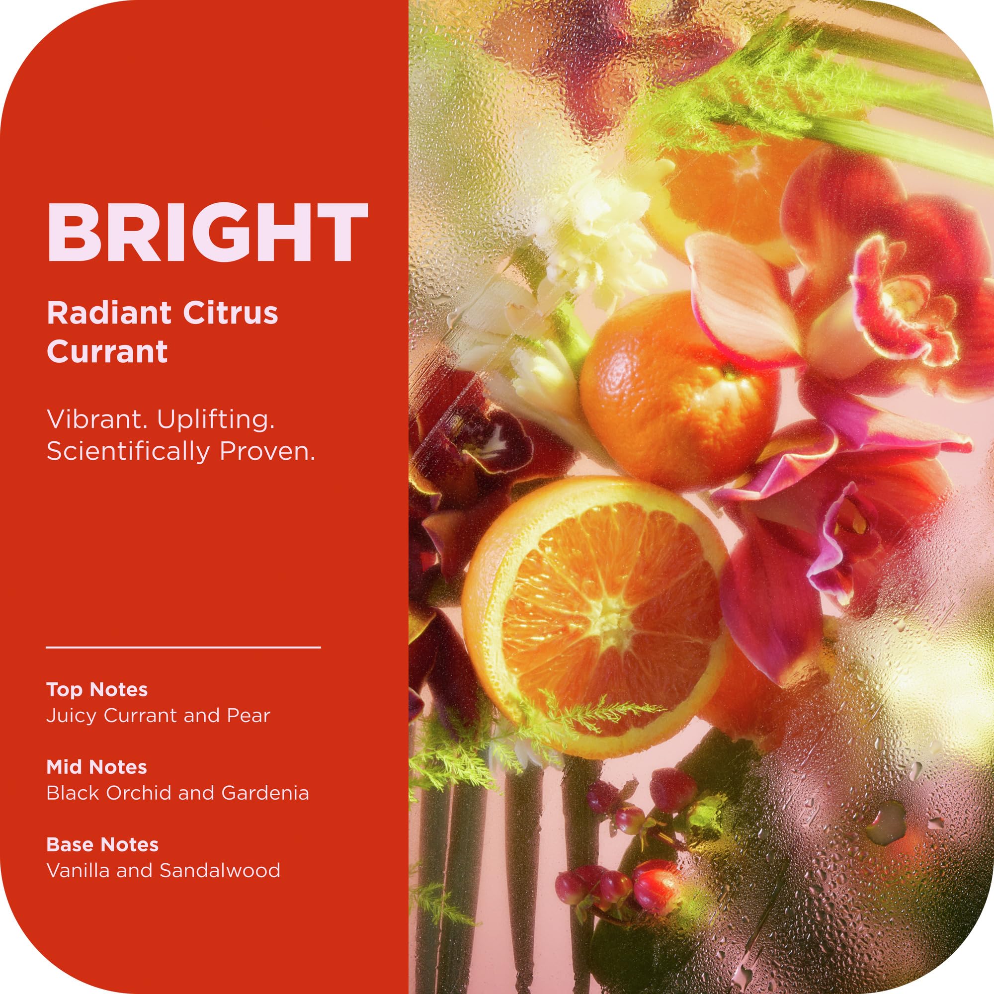 OLLY Bright Body Scrub with Ginseng, Caffeine & Vitamin C– Nourishing Cleanser for Skin Exfoliation, SkinBarrier Repair, Citrus Currant Scent, 6 oz