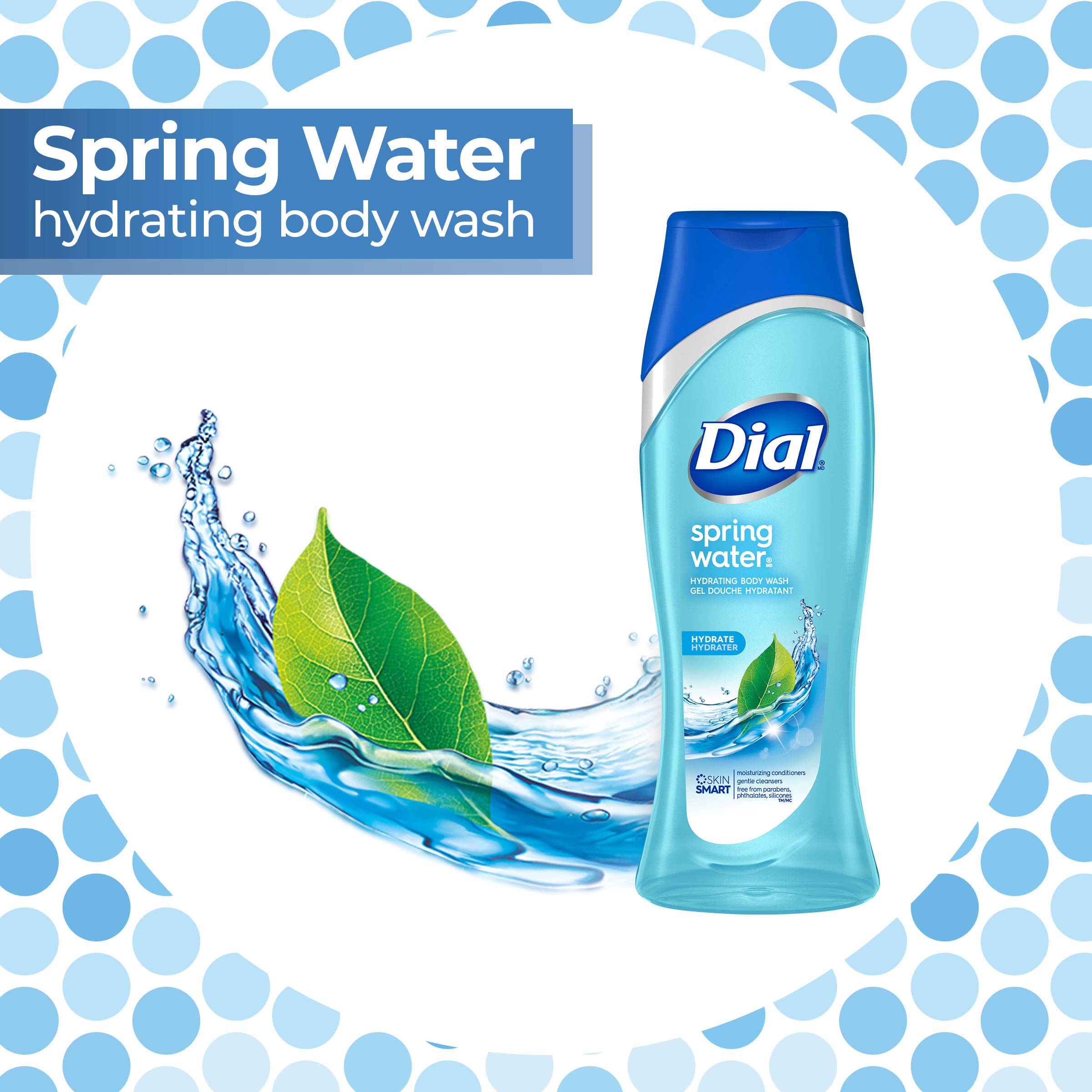 Dial Body Wash, Spring Water with All Day Freshness, 21-Fluid Ounces (Pack of 3)