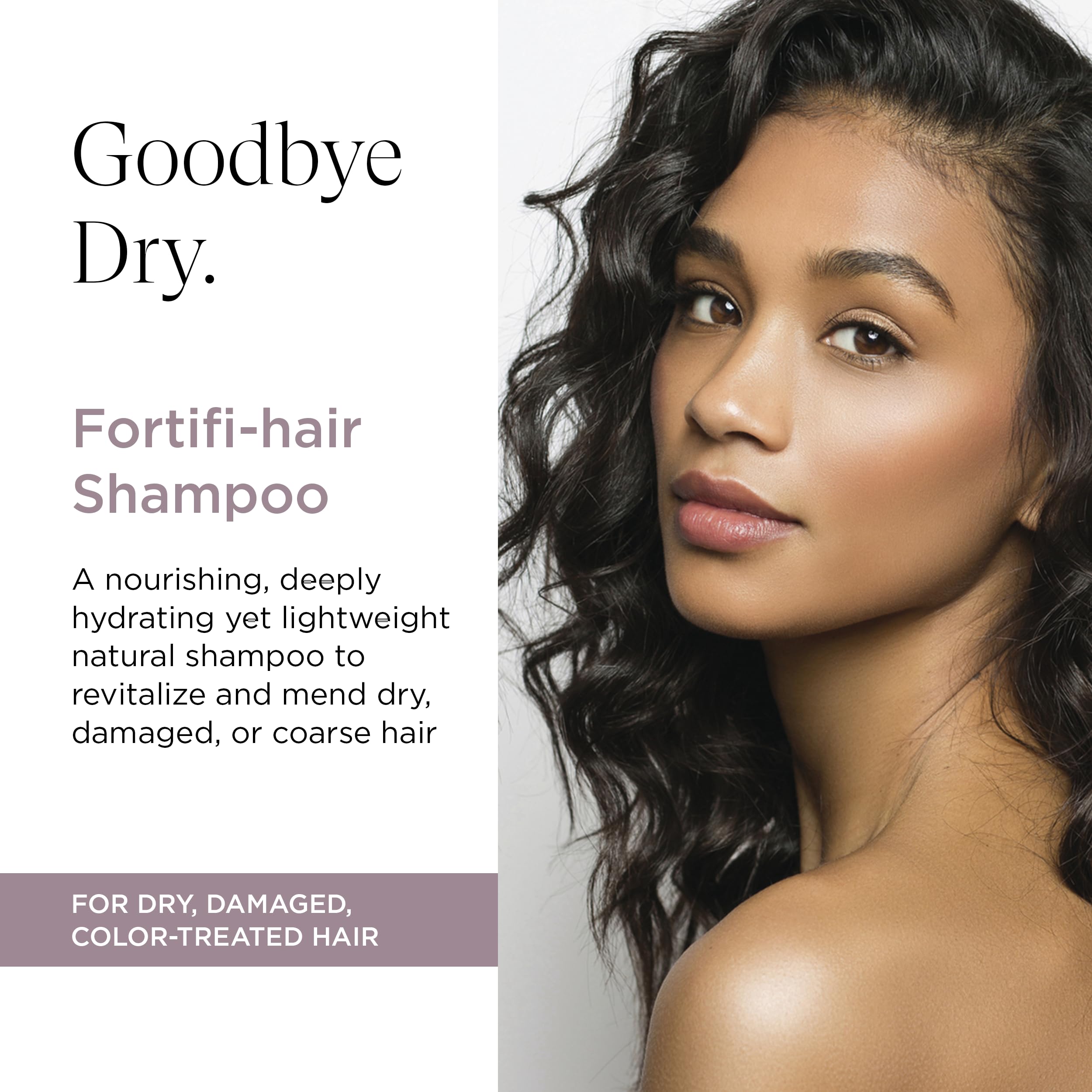 Intelligent Nutrients Fortifi-hair Shampoo, Moisturizing, Plant-Based Shampoo for Dry, Damaged Hair, Rejuvenates, Rebuilds, Vegan, 8.5 Oz