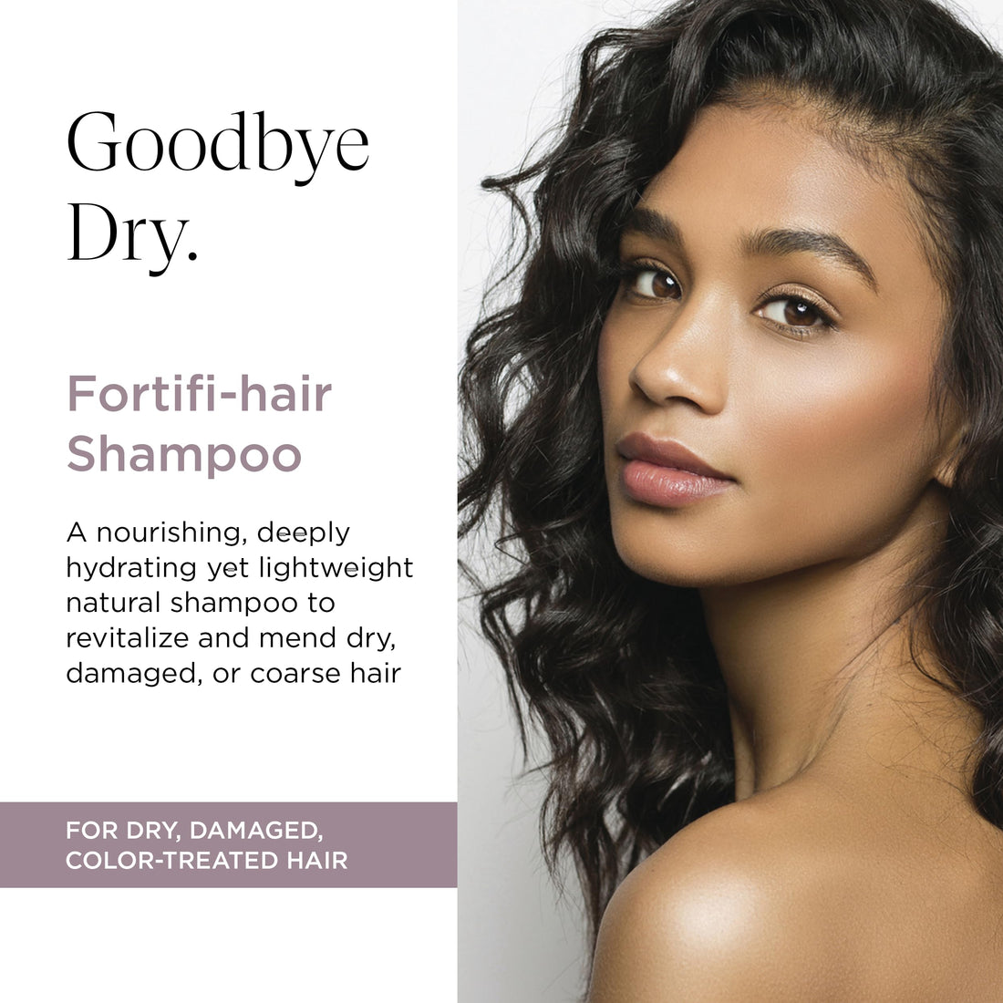 Intelligent Nutrients Fortifi-hair Shampoo, Moisturizing, Plant-Based Shampoo for Dry, Damaged Hair, Rejuvenates, Rebuilds, Vegan, 8.5 Oz