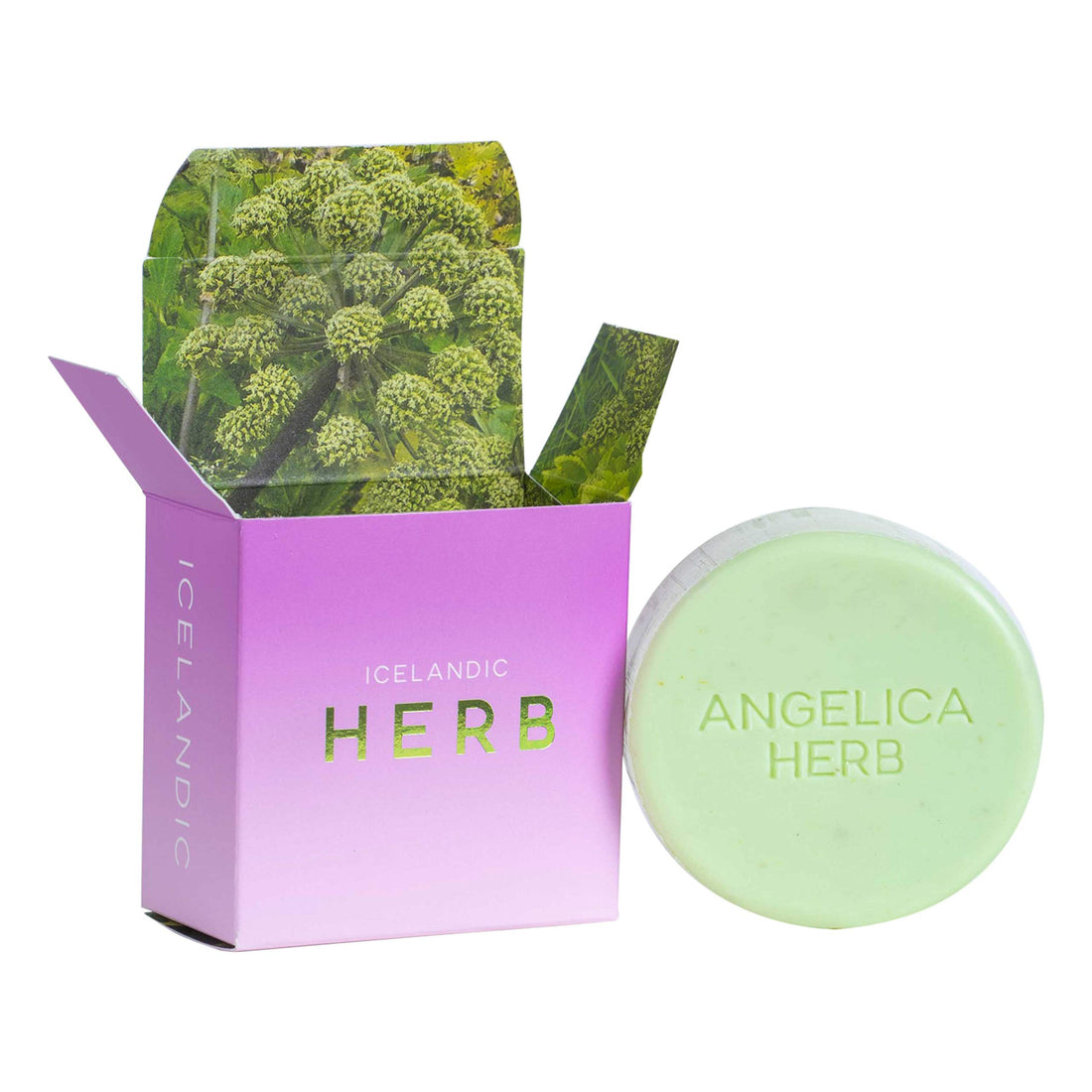 Kalastyle Exfoliating Bars of Soap From Natural Ingredients, Assorted Scents - Icelandic Volcanic Ash and Angelica Herb, Set of 2, 4.3 Ounce Each