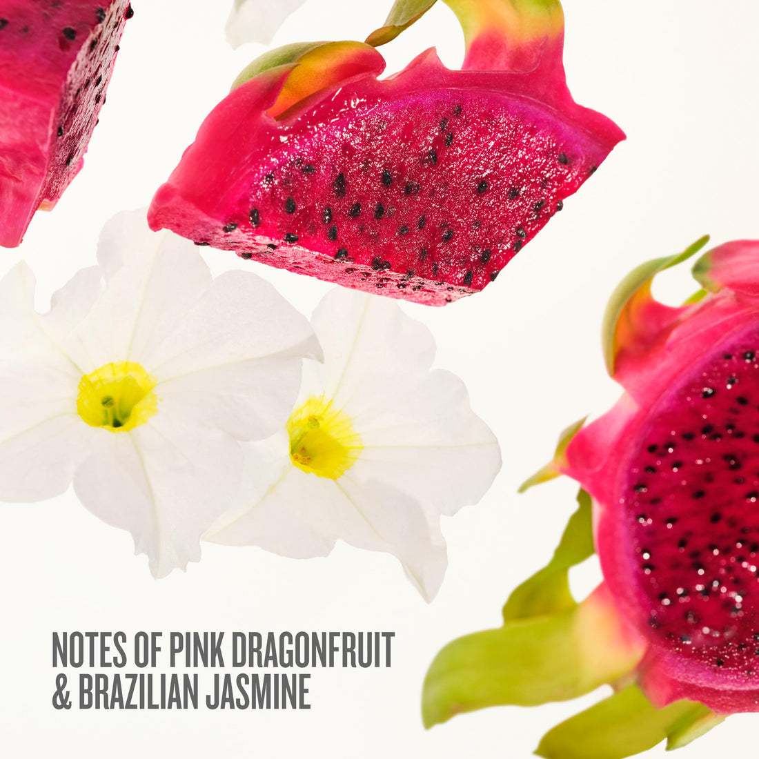 Sol de Janeiro Beija Flor Party of Two Holiday Gift Set | Beija Flor Elasti-Cream 2.5 fl oz & Cheirosa 68 Perfume Mist 1 fl oz | Beauty Minis | Limited Edition | Travel Size Trial Set