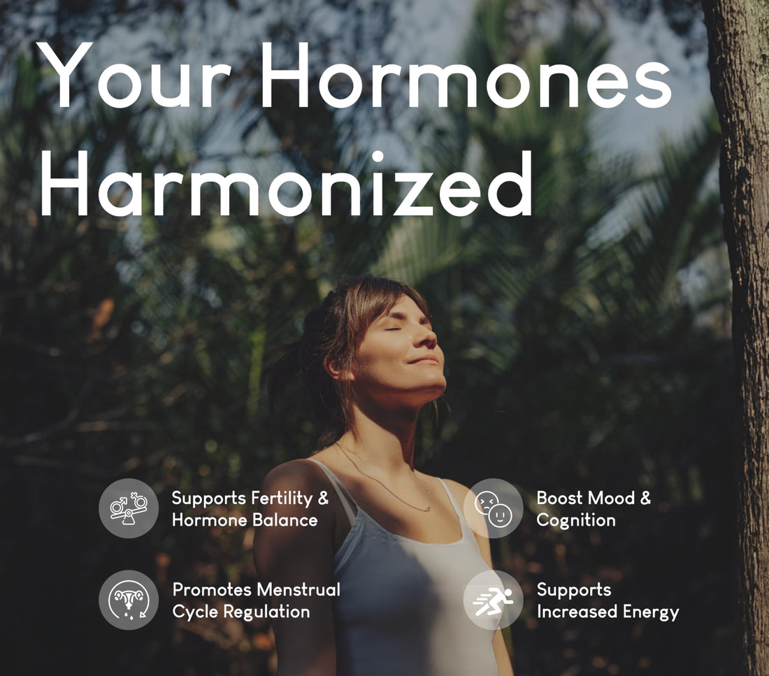 Optimal Carnivore Beef Organ Supplement for Women, Primal & Ancestral Organ Meat Supplements with Uterus & Liver for Hormone Balance & Energy - 90 Day Supply