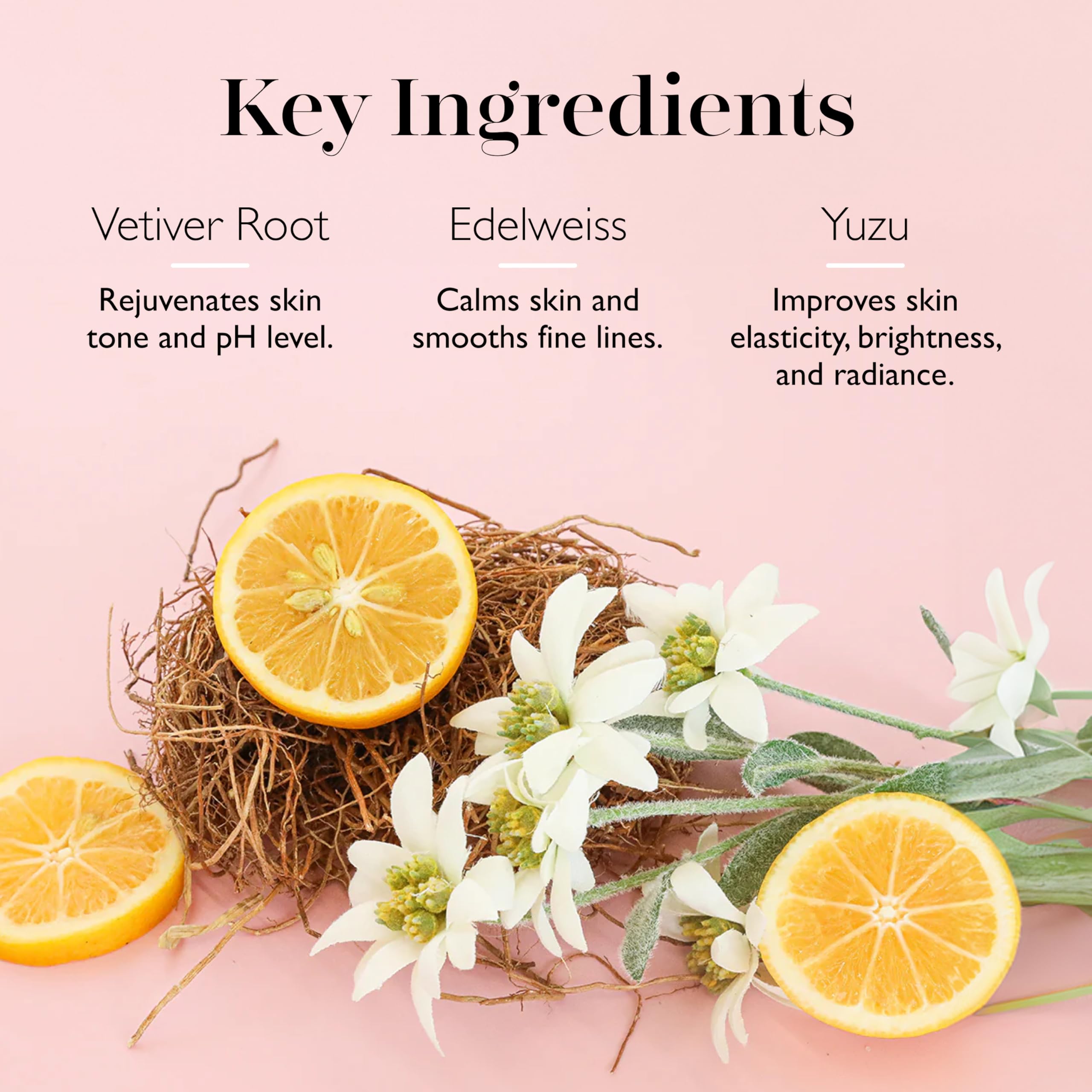 SPONGELLE COCONUT VERBENA BOXED FLOWER BUFFER