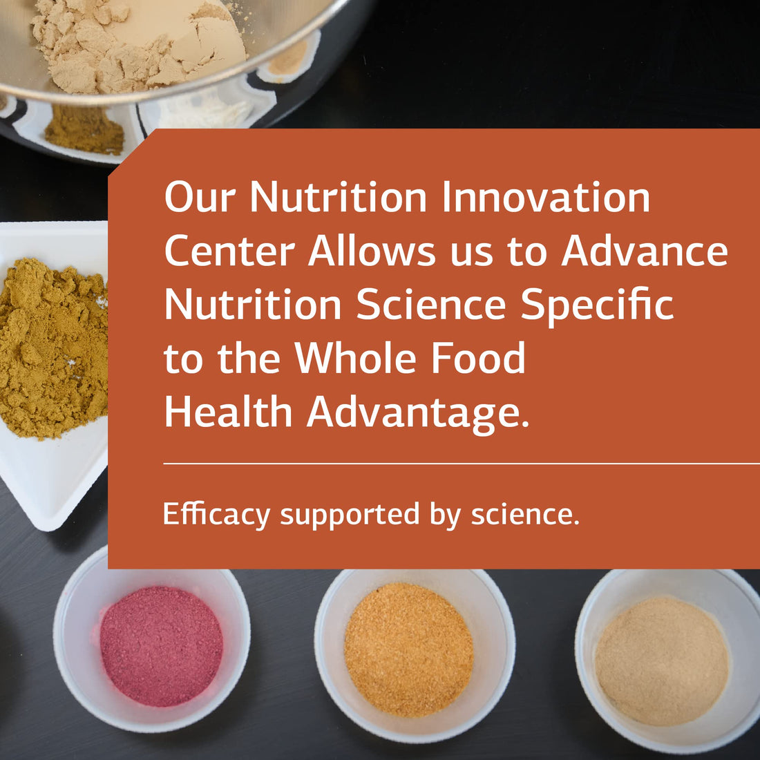 Standard Process Inc. Cataplex B2 - Whole Food Nervous System Supplements, Metabolism, Brain Supplement and Liver Support with Calcium Lactate, Riboflavin, Wheat Germ, Choline - 90 Tablets