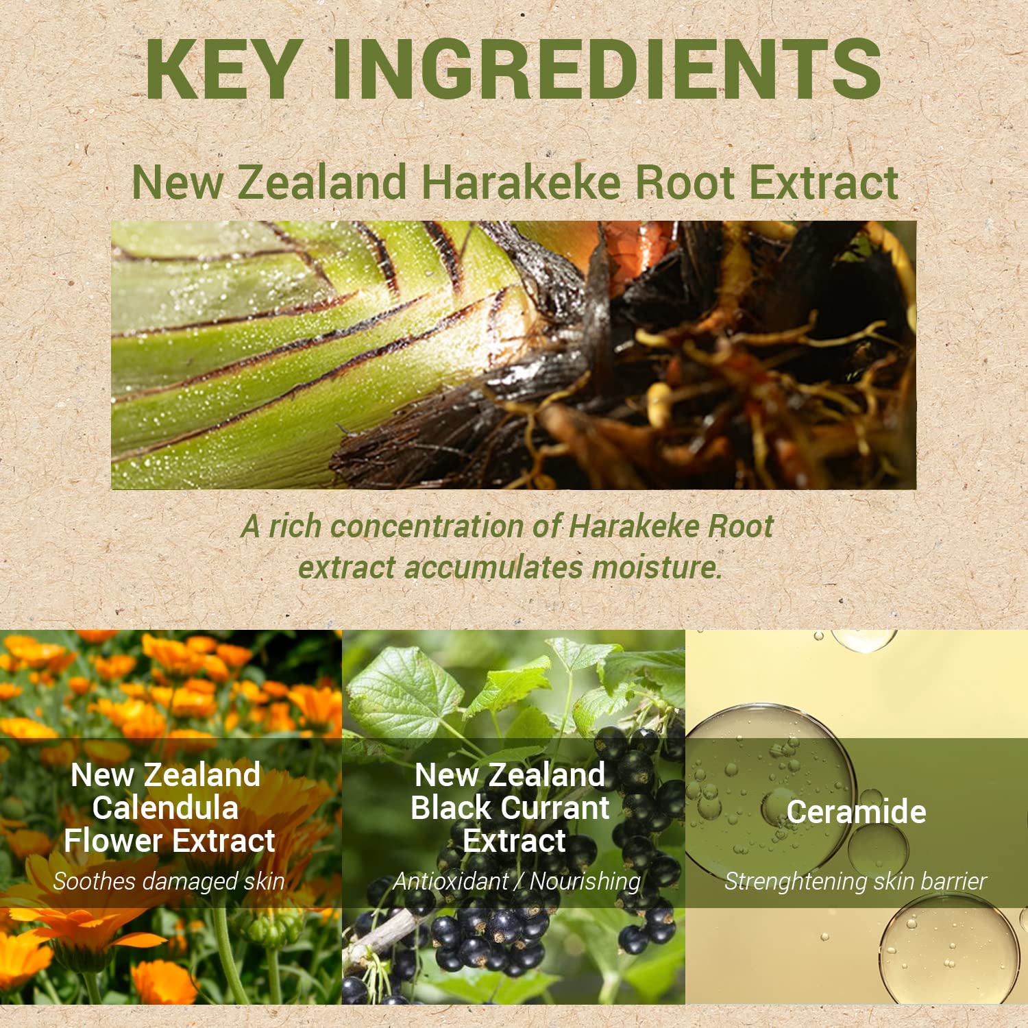 THESAEM Urban Eco Harakeke Deep Moisture Cream 1.69 oz. - Vegan Ultra Moisturizing and Nourishing Day & Night Moisturizer - Firming Healthy Looking Skin - Harakeke Root Extract and Ceramides