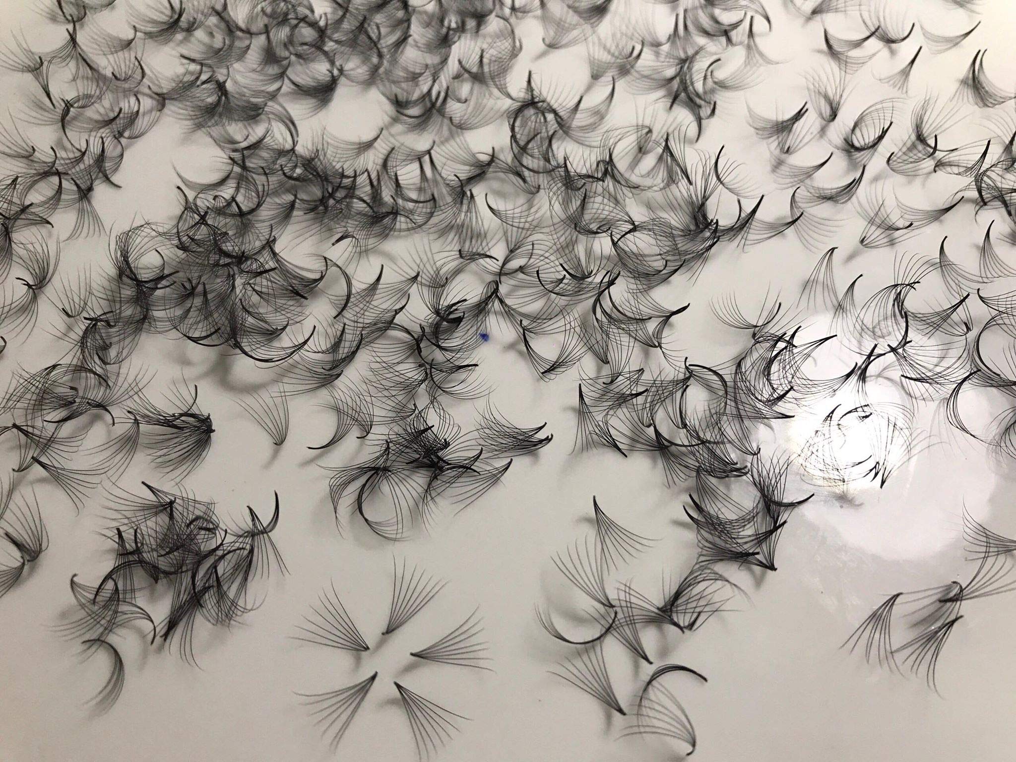 7D PREMADE (HAND MADE) FAN LASHES (500 FANS/TRAY) FOR EYELASH EXTENSION, C CURL AND D CURL, 0.07 THICKNESS, LENGTH FROM 10MM-15MM (D12mm7D)