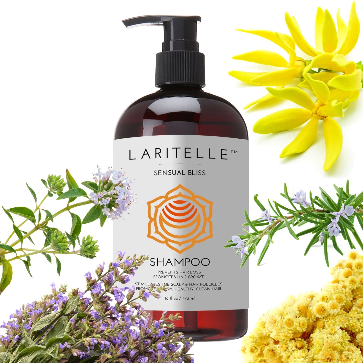Laritelle Organic Shampoo 17.5 oz. Argan Oil, Rosemary, Palmarosa. Promotes Hair Growth, Prevents Hair Loss. GF