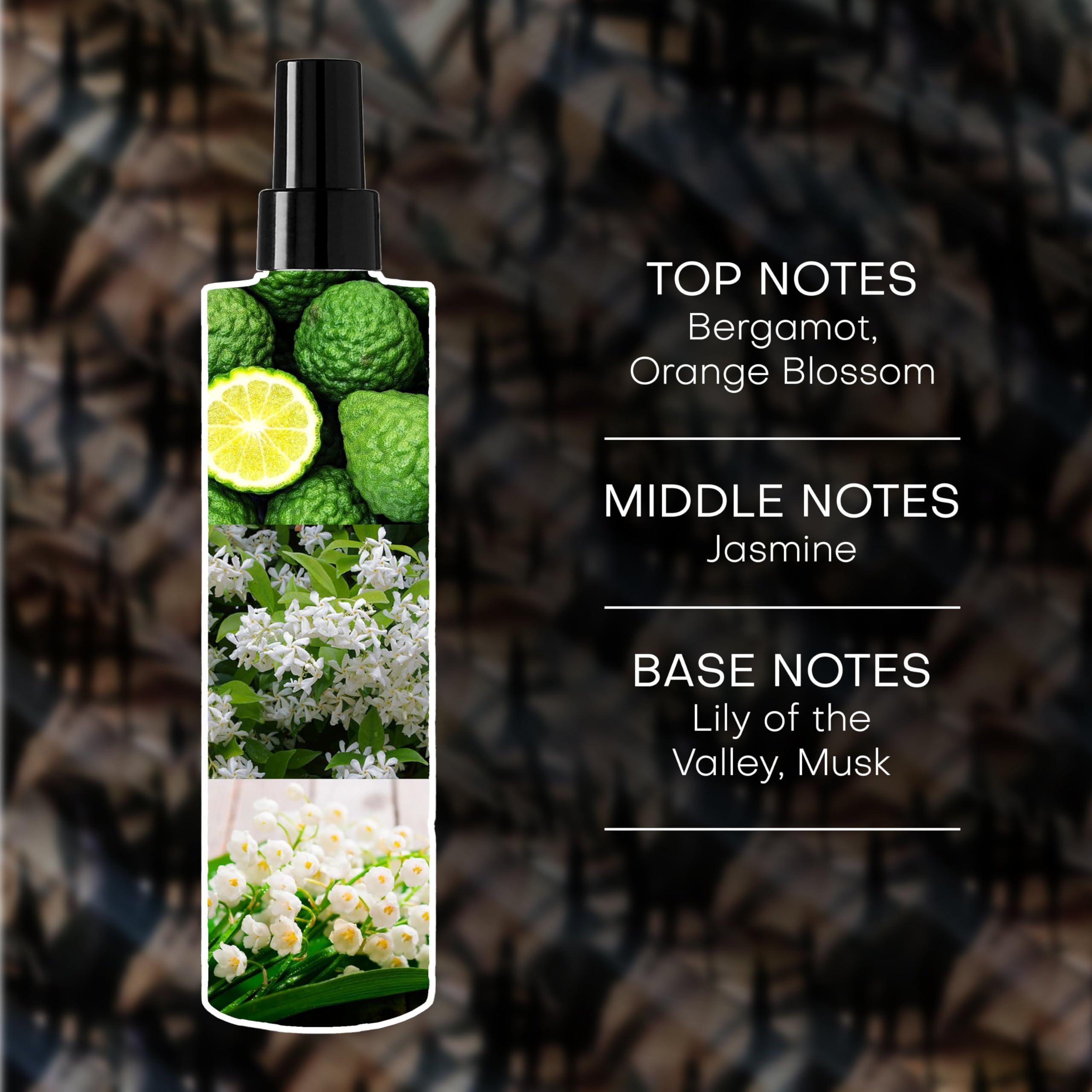 Rachel Zoe Warrior Body Mist for Women - Scent of Amber & Vanilla - Long-Lasting Luxury Fragrance - Fresh Fruity Scent of Tuberose Musk with Rose, Patchouli & Cocoa - Gift for Women - 300 ml