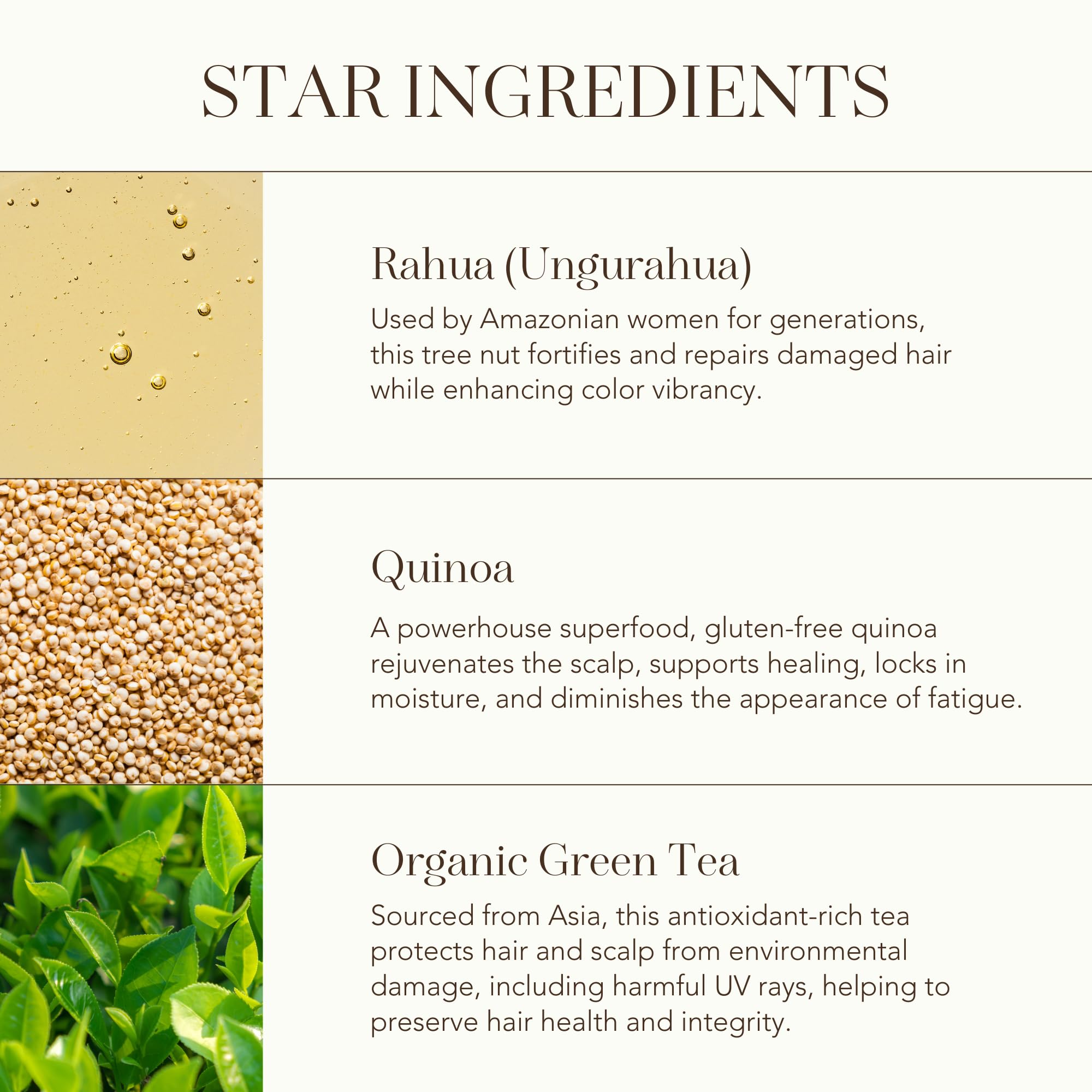 Rahua Leave In Hair Treatment Light, 2 Fl Oz, Anti Frizz Heat Protectant, Natural Hair Moisturizer for Hair Care, Softens Hair, Fine Hair Types, Nourishing Natural, Plant-Based Derived Ingredients