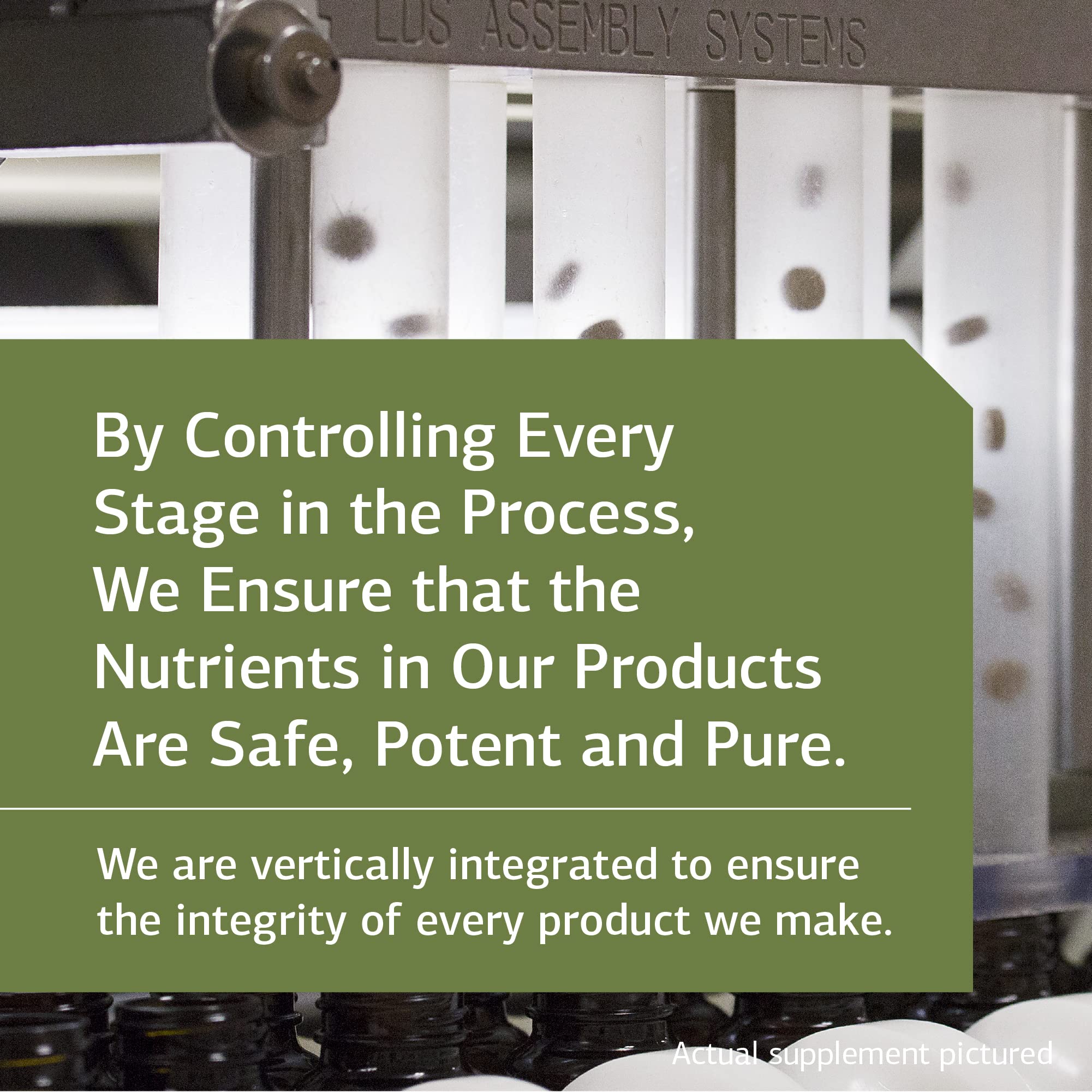 Standard Process Inc. Zymex II - Whole Food Digestion and Digestive Health with Digestion Enzymes, Cellulase, Papain, Amylase, Lipase, Almond and Bromelain - Gluten Free - 90 Capsules