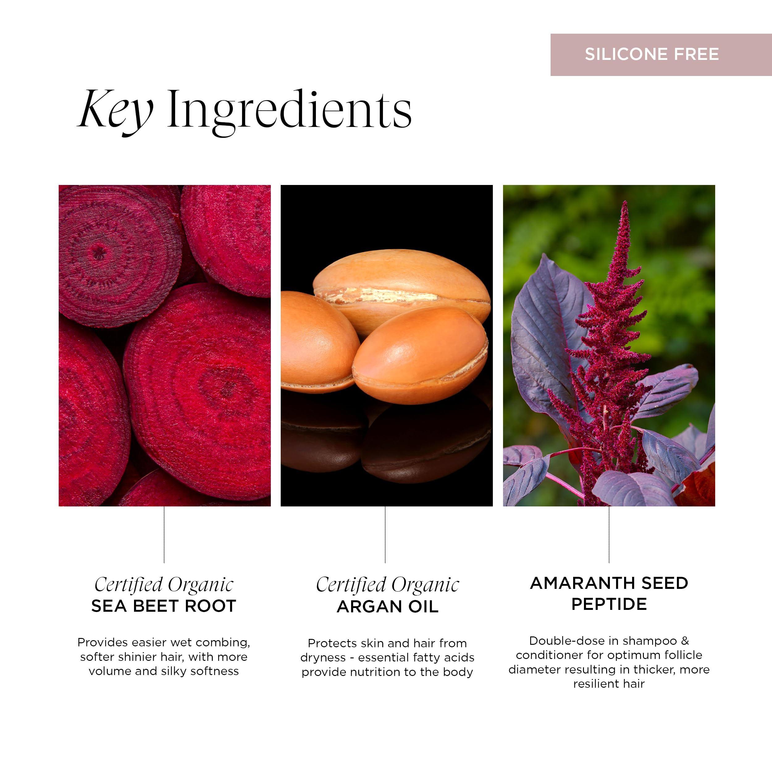 Intelligent Nutrients Amplifi-hair Volumizing Conditioner, Weightless Hydration and Detangling for Fine Hair, Vegan Conditioning Formula, 8 Oz