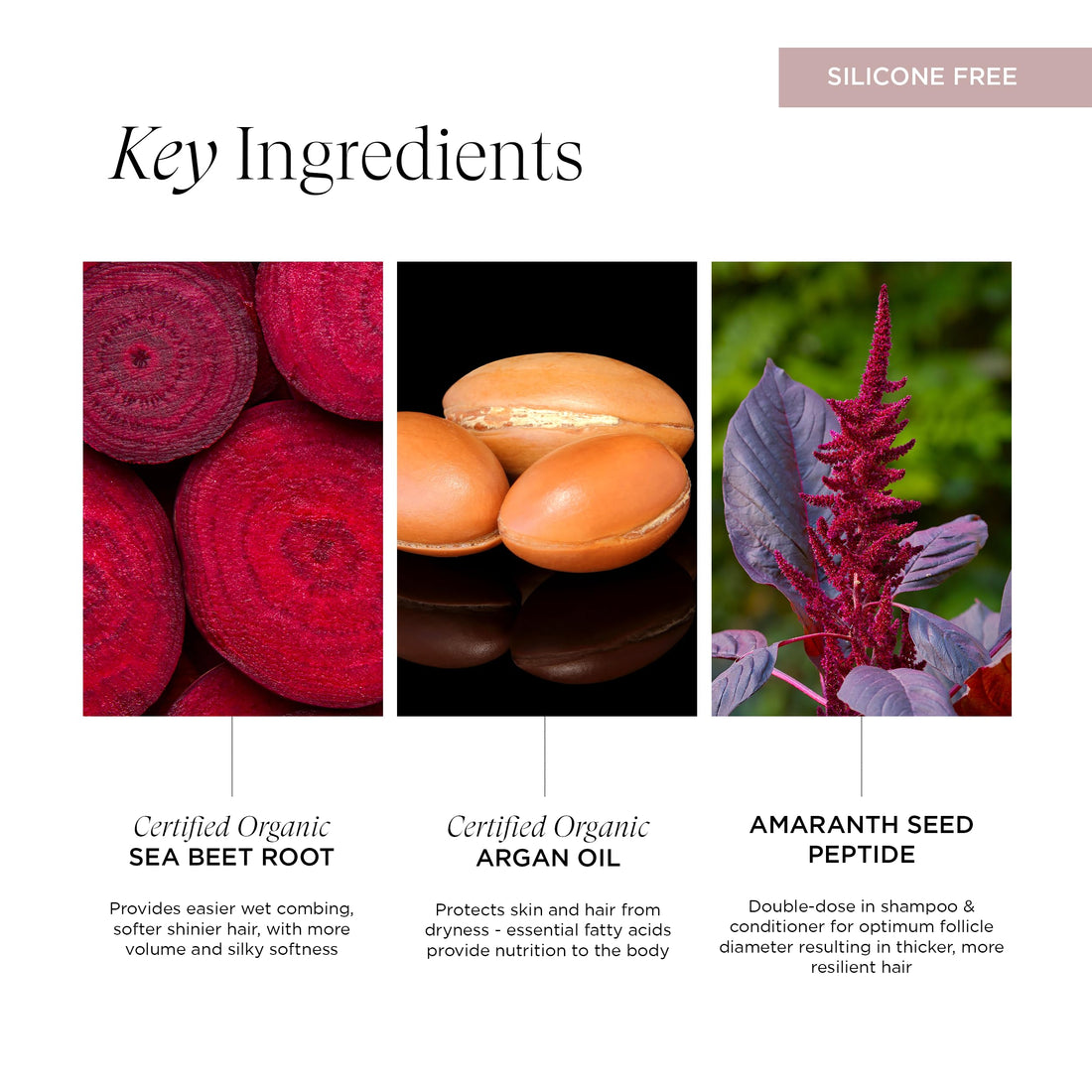 Intelligent Nutrients Amplifi-hair Volumizing Conditioner, Weightless Hydration and Detangling for Fine Hair, Vegan Conditioning Formula, 8 Oz