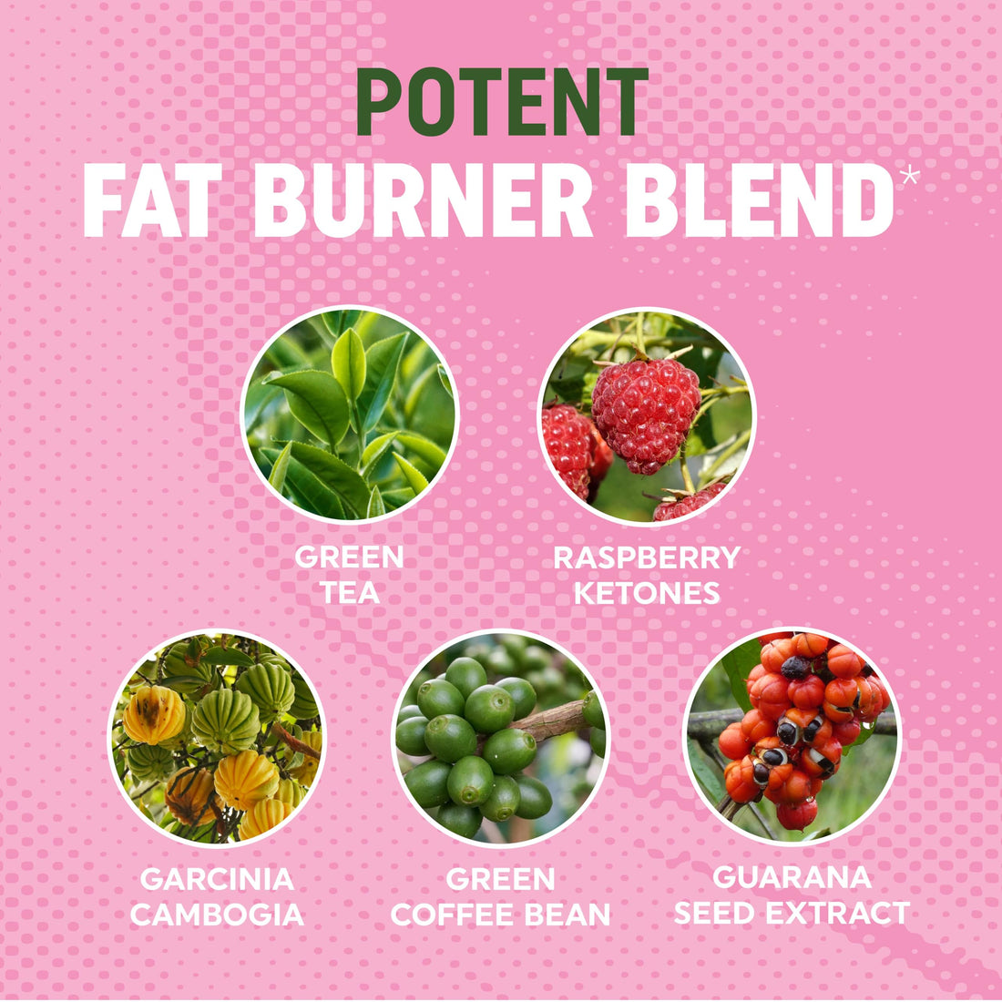 Women’s Fat Burner Gummies for Weight Loss | Green Tea, Green Coffee Bean, Garcinia Cambogia & Ketones | Fat Burners for Women Weight Loss Gummies | Green Tea Fat Burner Supplements | 60 Count