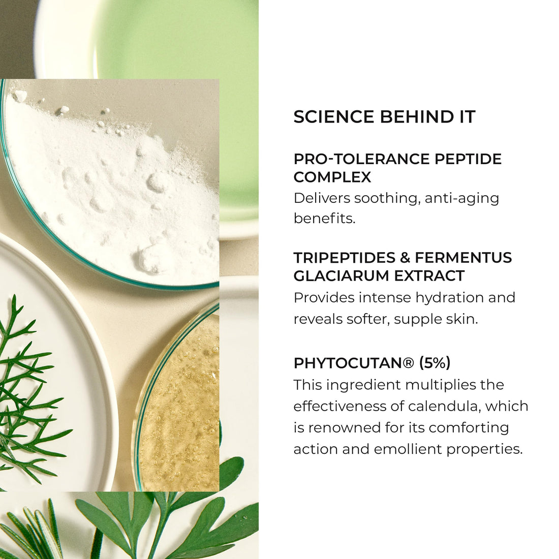 Natura Bisse Tolerance Recovery Cream, 1.7 fl. oz.