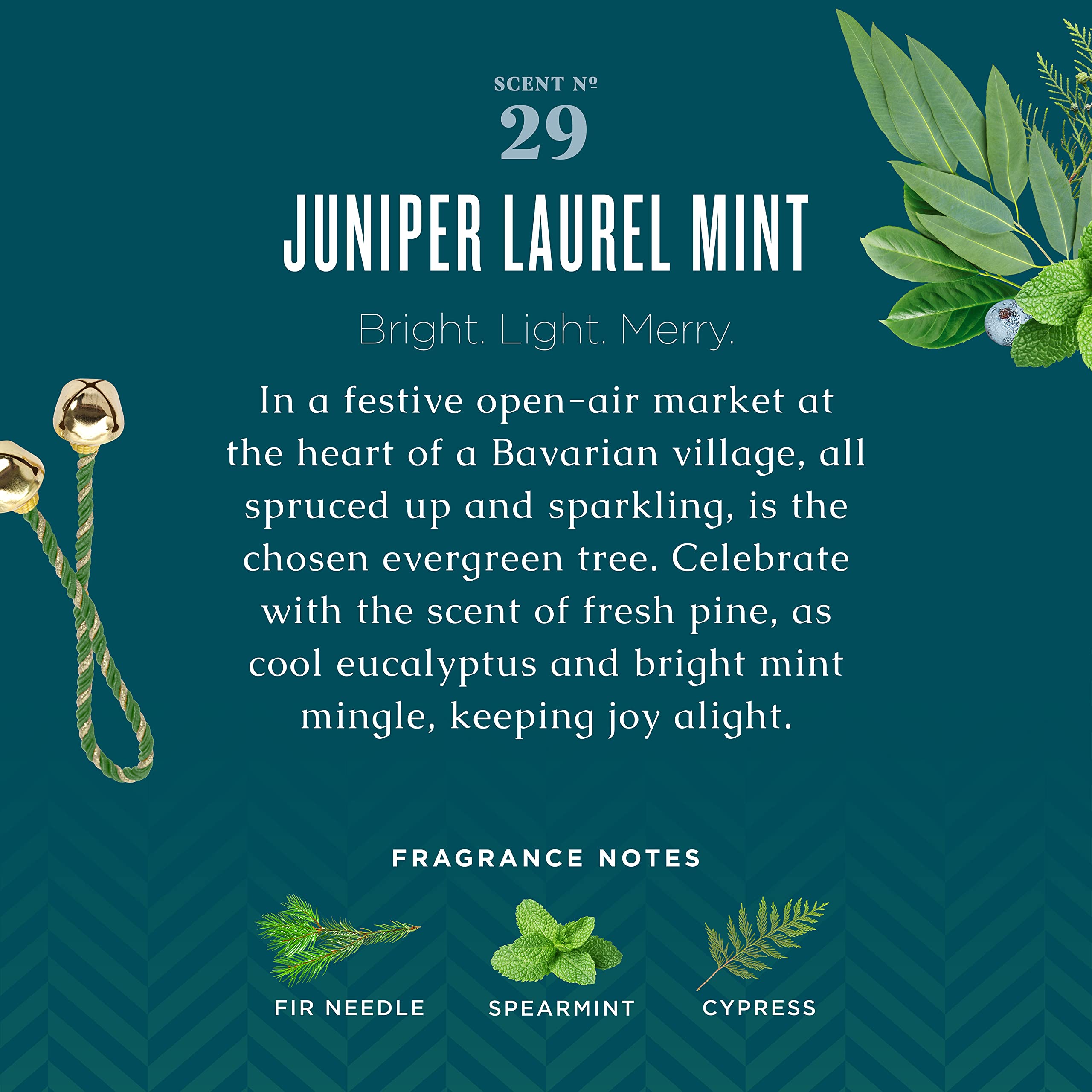 Caldrea Hand Wash Soap, Aloe Vera Gel, Olive Oil and Essential Oils to Cleanse and Condition, Juniper Laurel Mint Scent, 10.8 oz