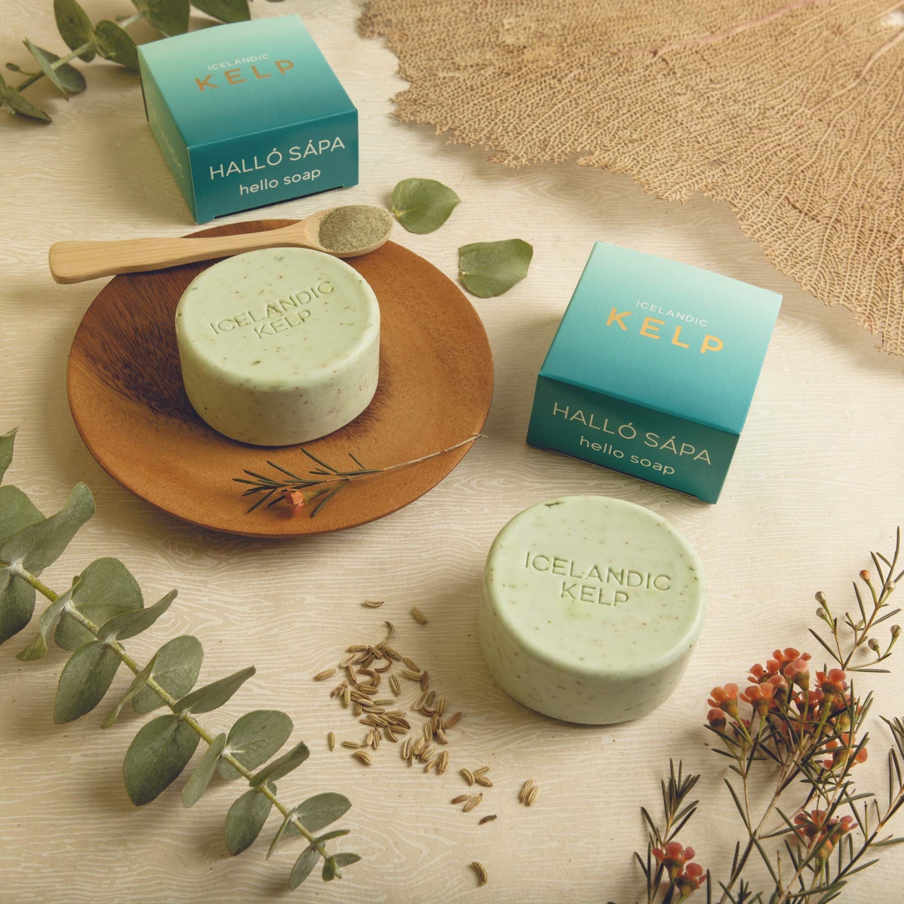 Organic Exfoliating Bars of Soap, Natural Ingredients, Assorted Scents, Icelandic Kelp & Moss, Set of.