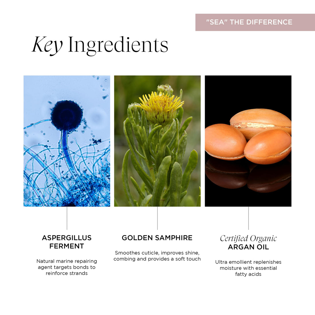 Shine Bright Moisture Hair Mask, Intense Conditioning for Lustrous Shine and Softness, Vegan, 4 Oz