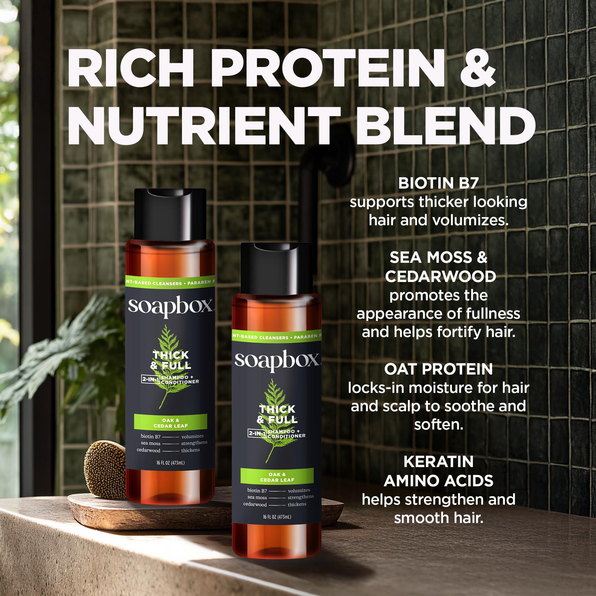 Soapbox Men's Thick and Full 2 in 1 Shampoo and Conditioner Men, Natural Mens Shampoo and Conditioner, Oak & Cedar Leaf, 16oz