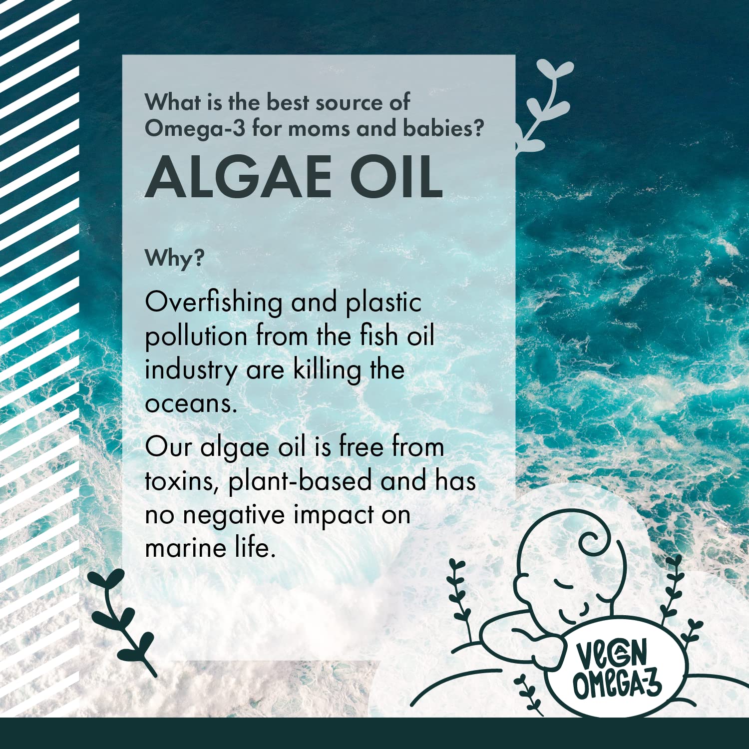 Freshfield Vegan Omega 3 DHA: Sustainable, Carrageenan Free, Third Party Tested, Compostable Bottle, Carbon Neutral. Supports Heart, Brain, Joint Health w/DPA (Prenatal 60 Count (Pack of 1))