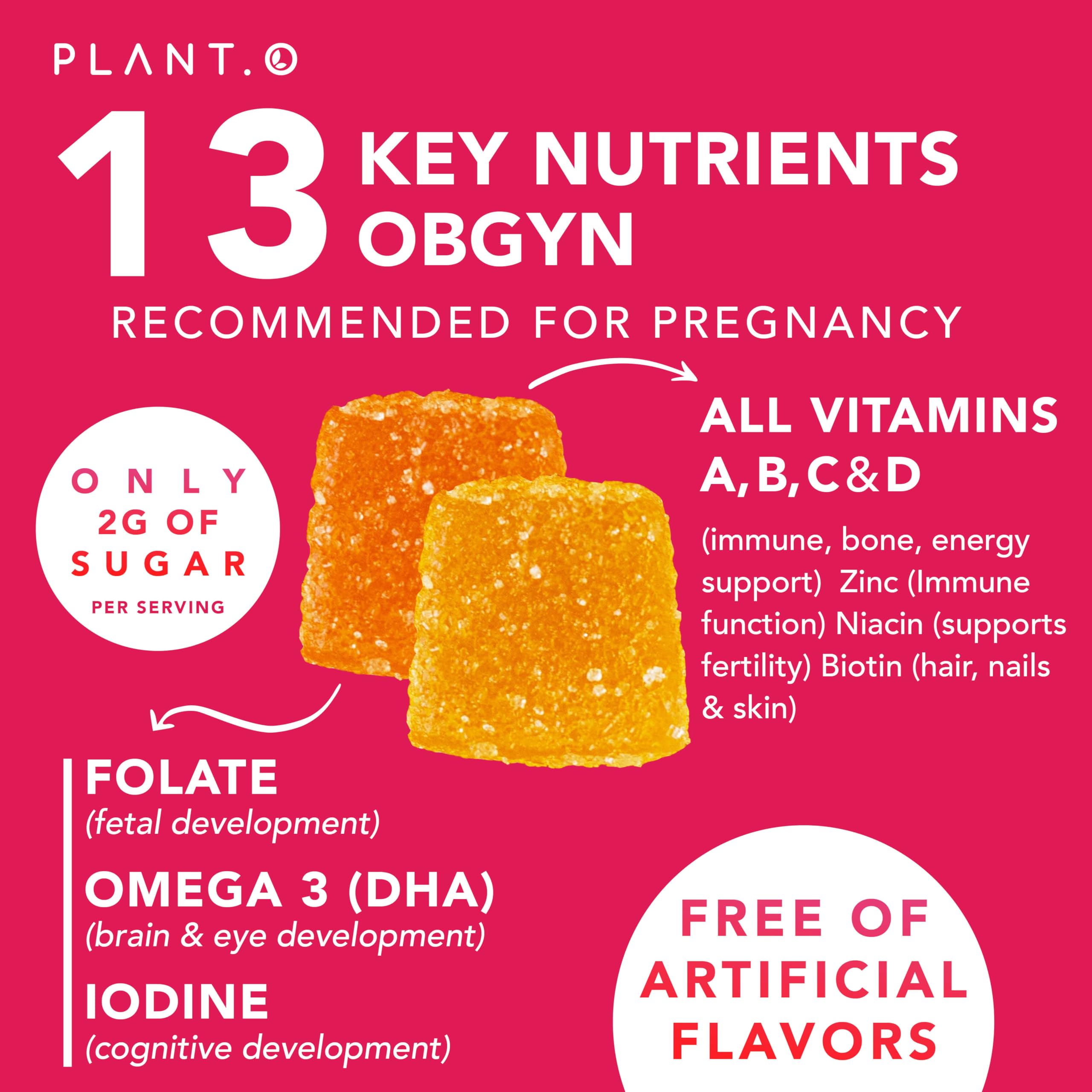 PLANT.O NUTRITION Prenatal Gummies for Women with DHA, Folate, Vitamin B C D | Delicious Multivitamin Blend for Fetal and Neural Support, Bones, Energy & Immunity During Pregnancy