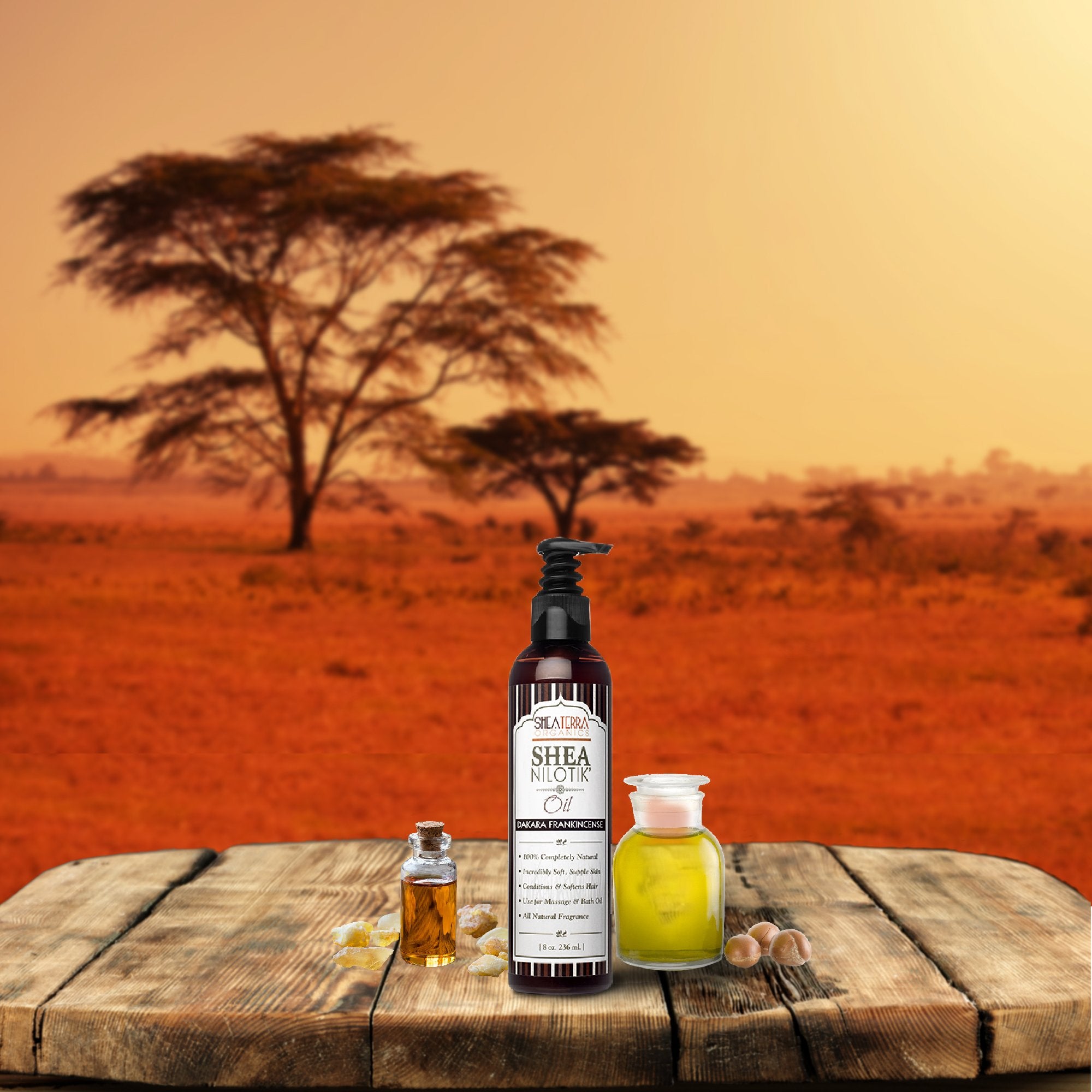 Shea Terra Organics Shea Nilotikââ‚¬â„¢ Oil Scented With Dakara Frankincense |Natural Daily Skin Moisturizer & Conditioner - 8 oz