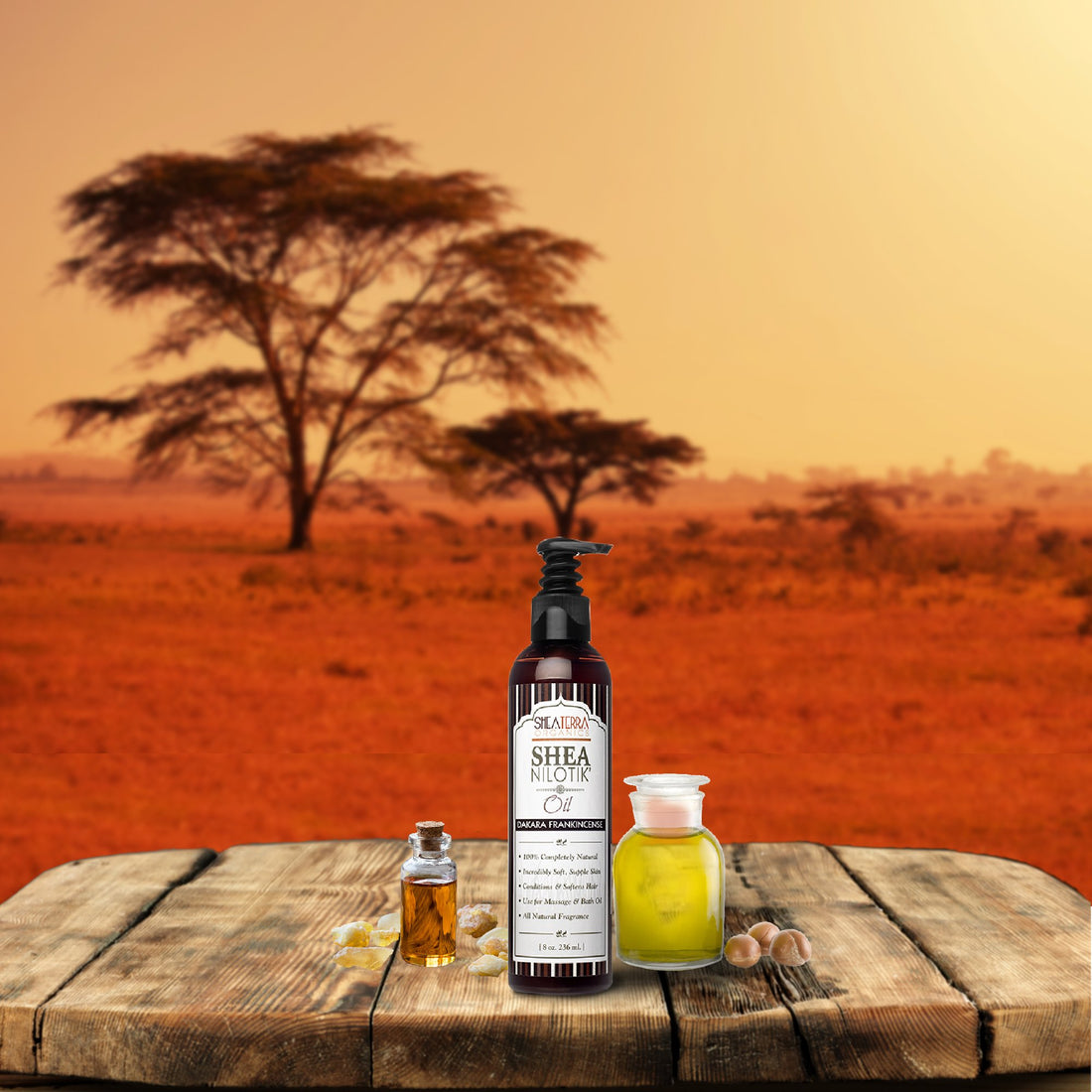 Shea Terra Organics Shea Nilotikââ‚¬â„¢ Oil Scented With Dakara Frankincense |Natural Daily Skin Moisturizer & Conditioner - 8 oz