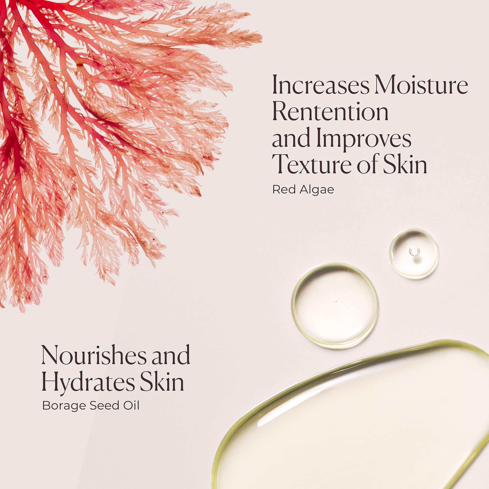 Laura Mercier Honey Bath, Foaming Bubble Bath, Long-Lasting Hydration, Helps Maintain Skin's Moisture, Provides Visible Radiance, Suitable for All Skin Types, Ambre Vanille