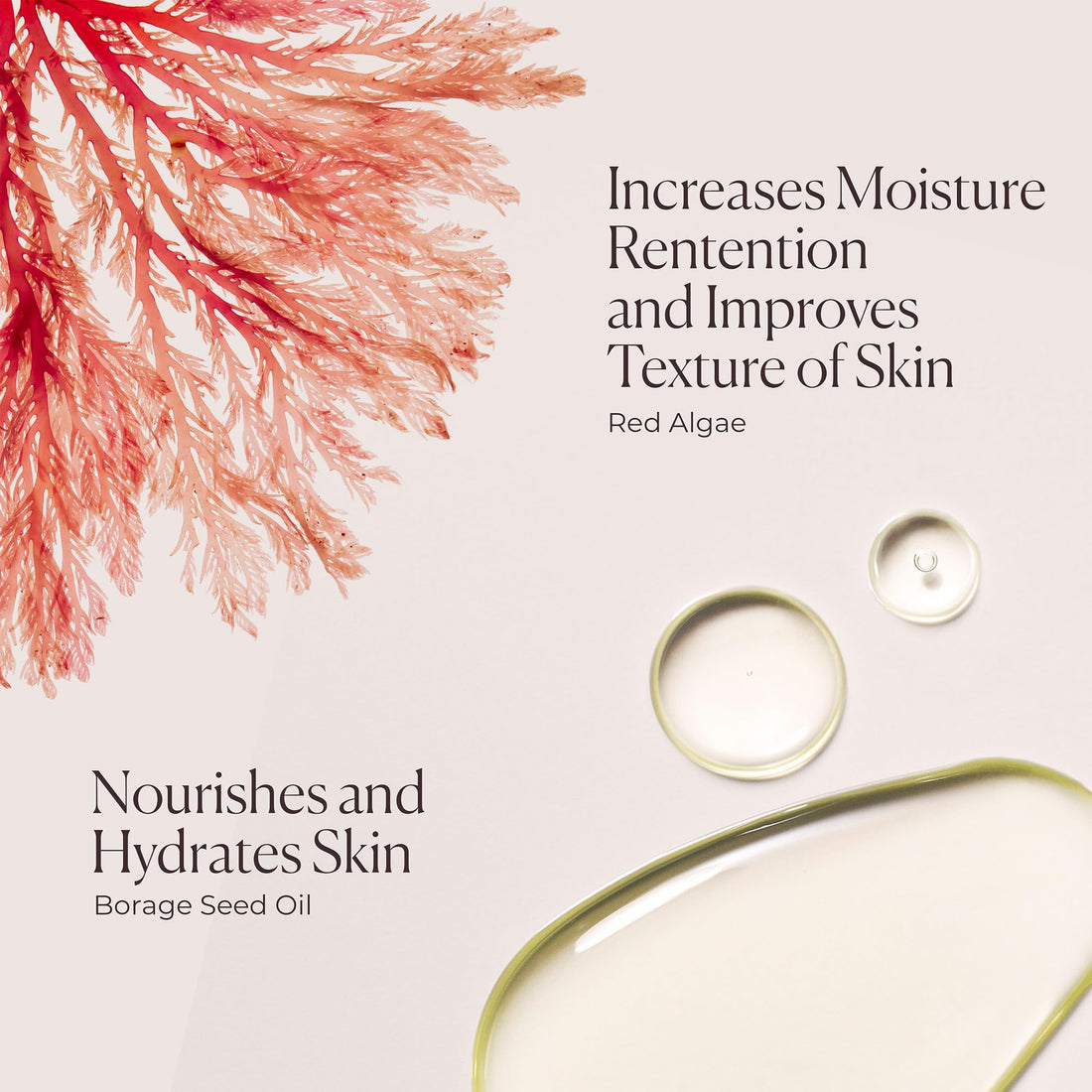 Laura Mercier Honey Bath, Foaming Bubble Bath, Long-Lasting Hydration, Helps Maintain Skin's Moisture, Provides Visible Radiance, Suitable for All Skin Types, Ambre Vanille